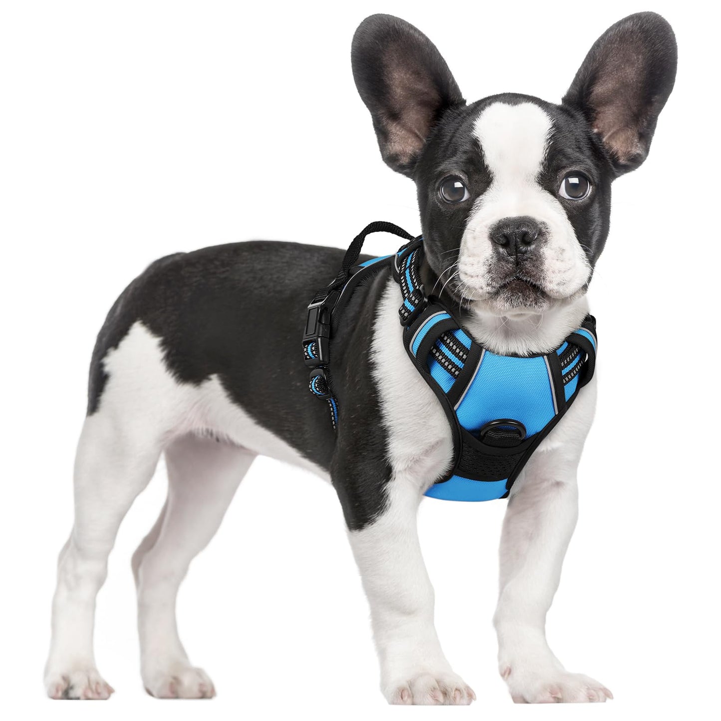 rabbitgoo Dog Harness, No-Pull Pet Harness with 2 Leash Clips, Adjustable Soft Padded Vest, Reflective No-Choke Pet Oxford Vest with Easy Control Handle for Large Dogs, Purple, L