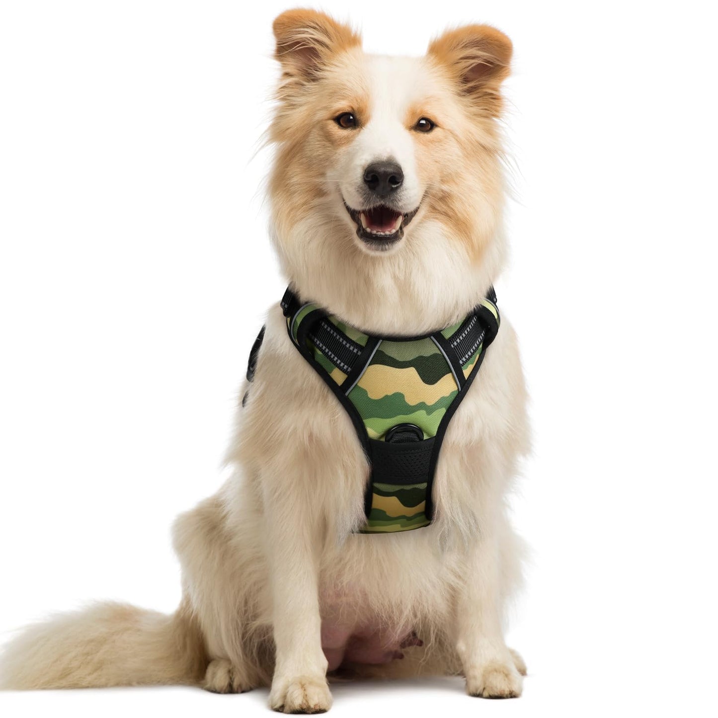rabbitgoo Dog Harness, No-Pull Pet Harness with 2 Leash Clips, Adjustable Soft Padded Vest, Reflective No-Choke Pet Oxford Vest with Easy Control Handle for Large Dogs, Purple, L