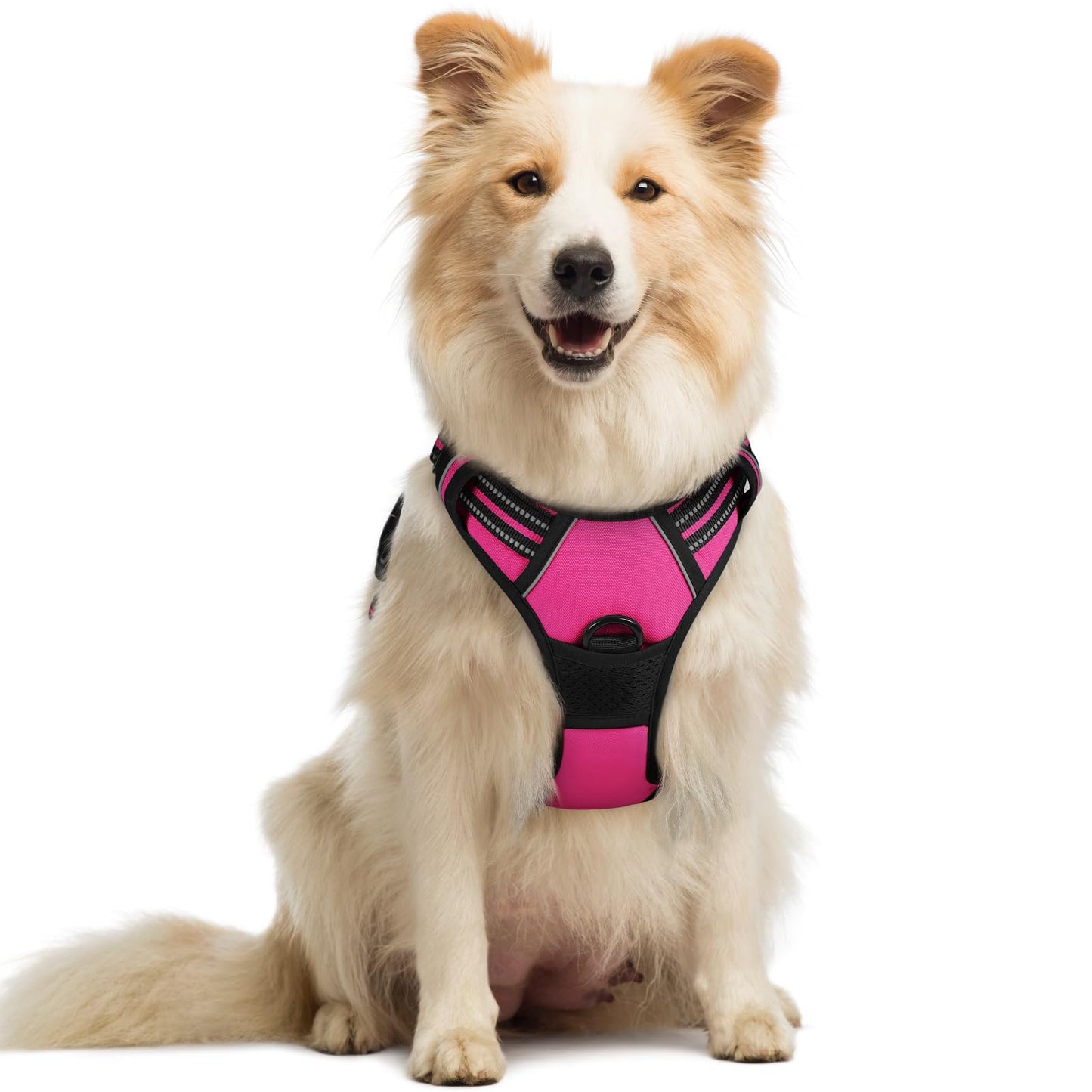 rabbitgoo Dog Harness, No-Pull Pet Harness with 2 Leash Clips, Adjustable Soft Padded Vest, Reflective No-Choke Pet Oxford Vest with Easy Control Handle for Large Dogs, Purple, L