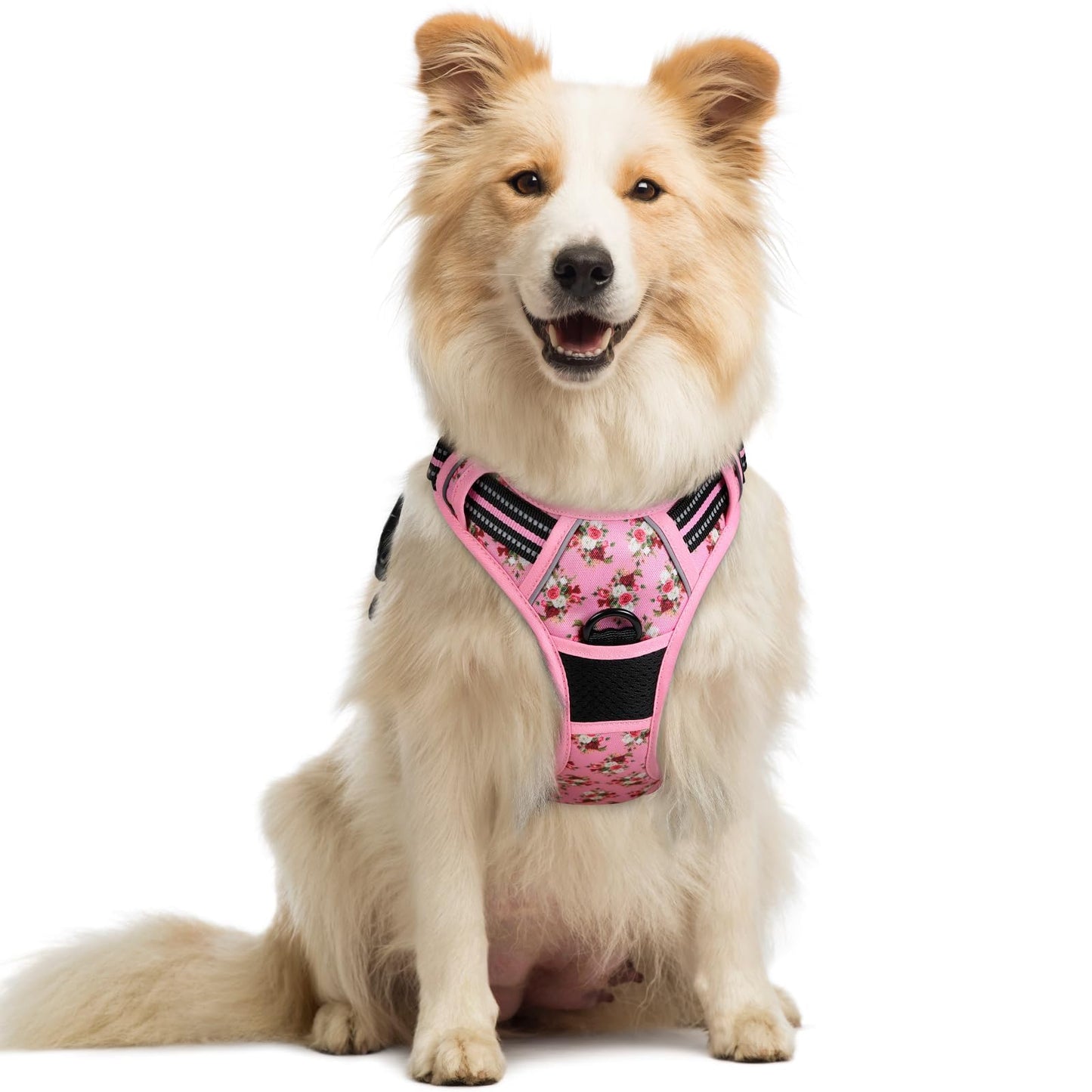 rabbitgoo Dog Harness, No-Pull Pet Harness with 2 Leash Clips, Adjustable Soft Padded Vest, Reflective No-Choke Pet Oxford Vest with Easy Control Handle for Large Dogs, Purple, L
