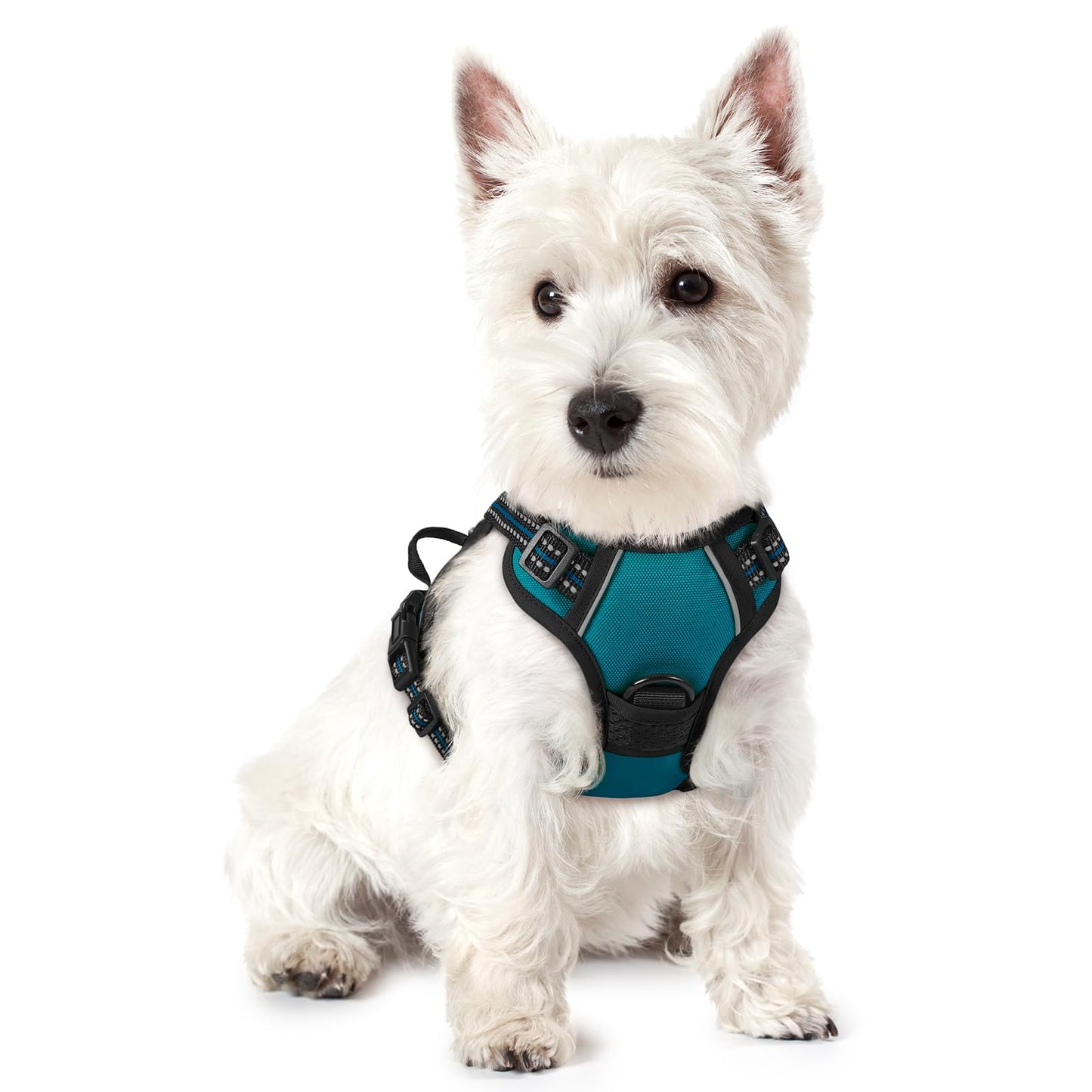 rabbitgoo Dog Harness, No-Pull Pet Harness with 2 Leash Clips, Adjustable Soft Padded Vest, Reflective No-Choke Pet Oxford Vest with Easy Control Handle for Large Dogs, Purple, L