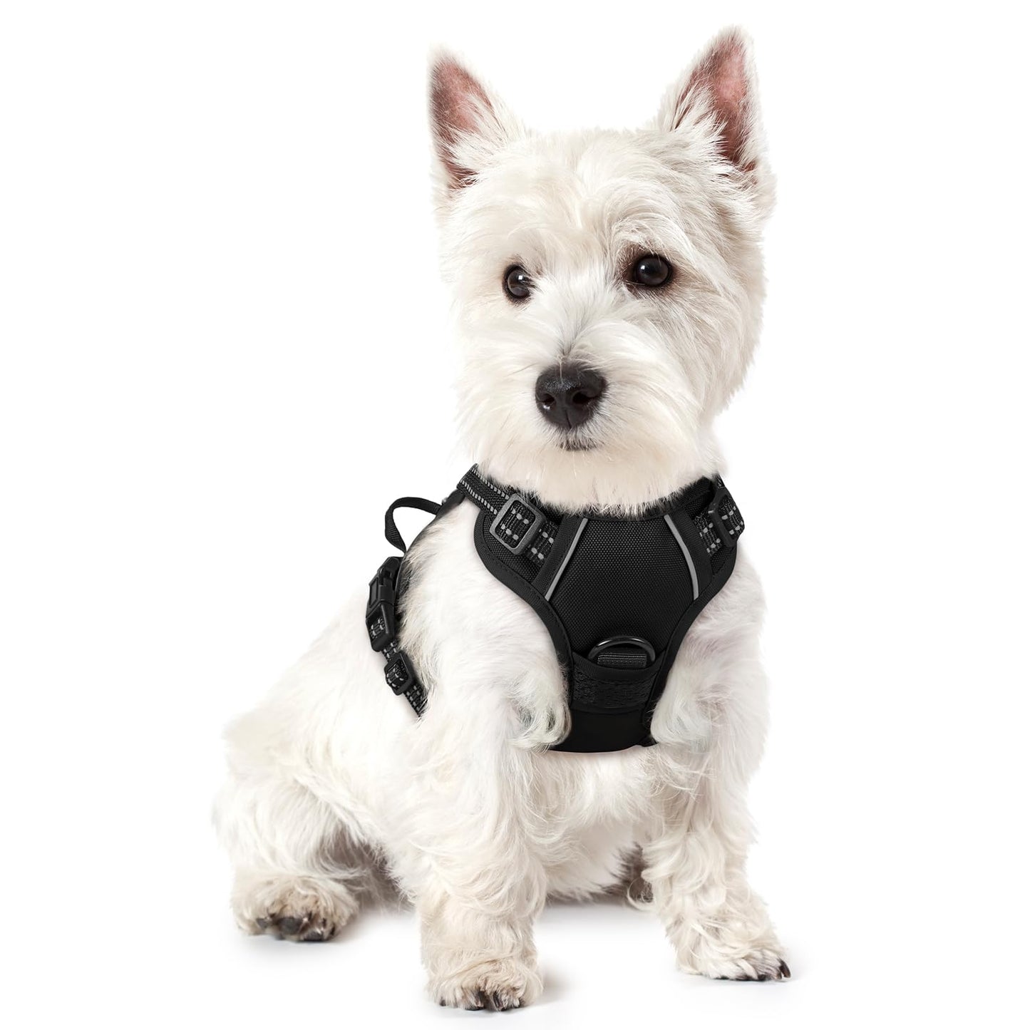 rabbitgoo Dog Harness, No-Pull Pet Harness with 2 Leash Clips, Adjustable Soft Padded Vest, Reflective No-Choke Pet Oxford Vest with Easy Control Handle for Large Dogs, Purple, L
