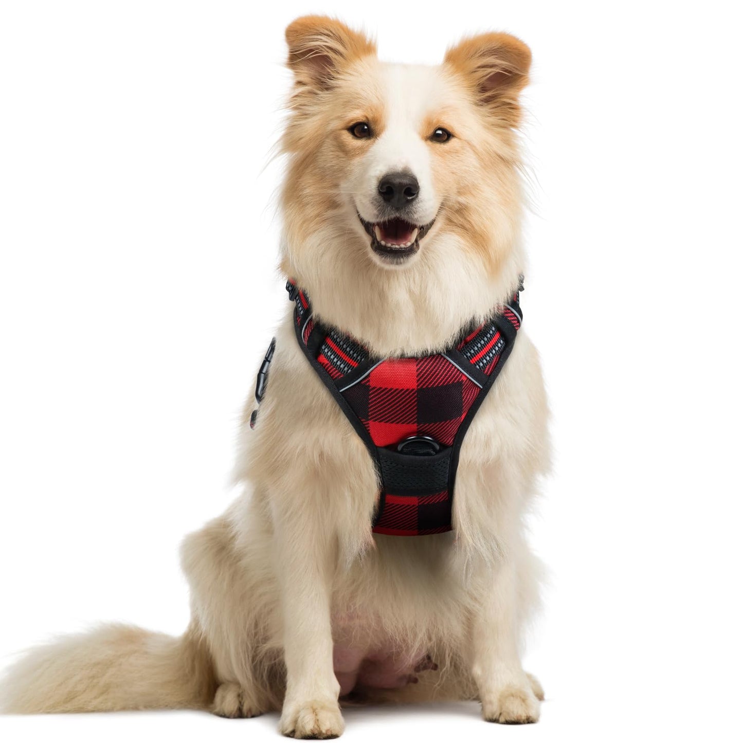 rabbitgoo Dog Harness, No-Pull Pet Harness with 2 Leash Clips, Adjustable Soft Padded Vest, Reflective No-Choke Pet Oxford Vest with Easy Control Handle for Large Dogs, Purple, L