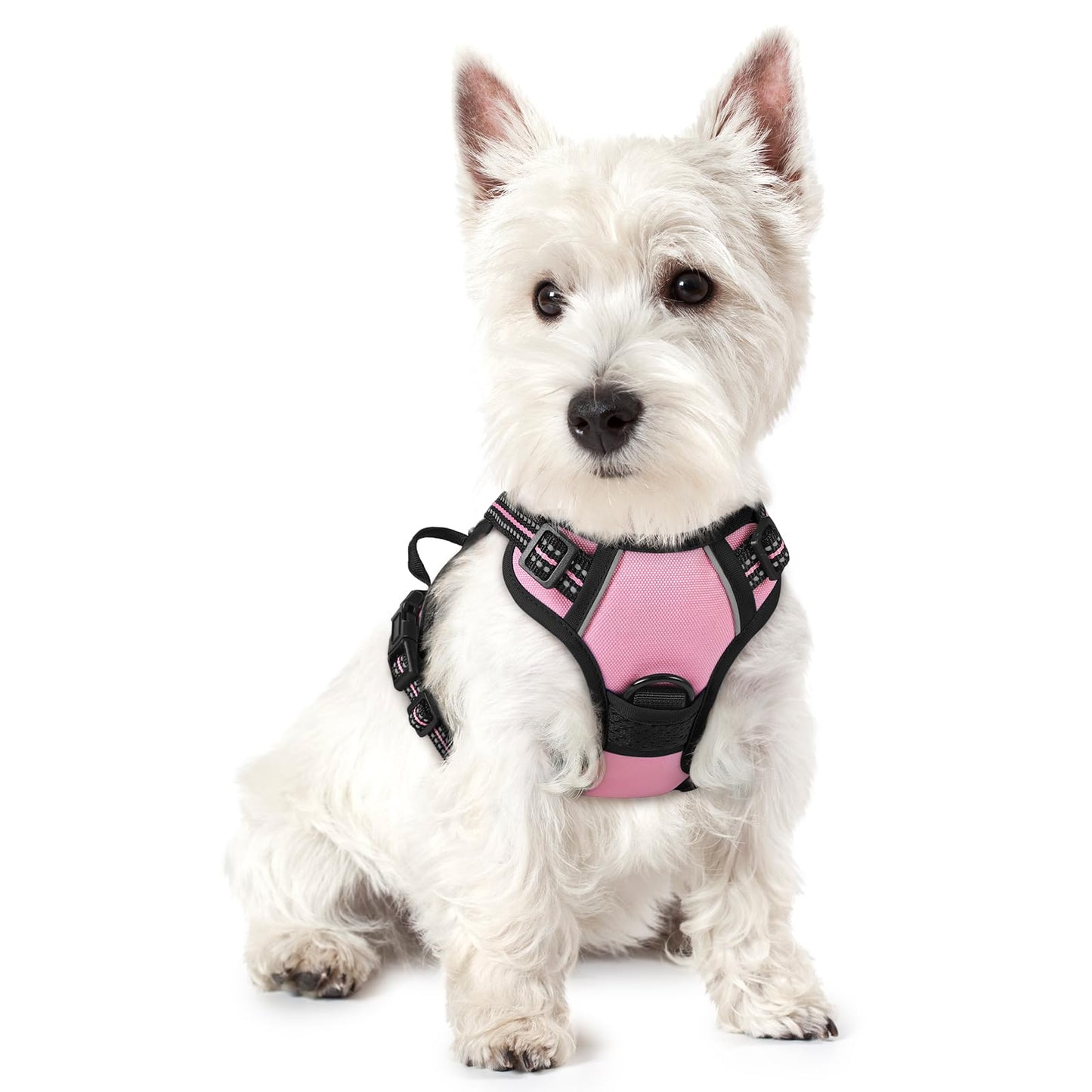 rabbitgoo Dog Harness, No-Pull Pet Harness with 2 Leash Clips, Adjustable Soft Padded Vest, Reflective No-Choke Pet Oxford Vest with Easy Control Handle for Large Dogs, Purple, L
