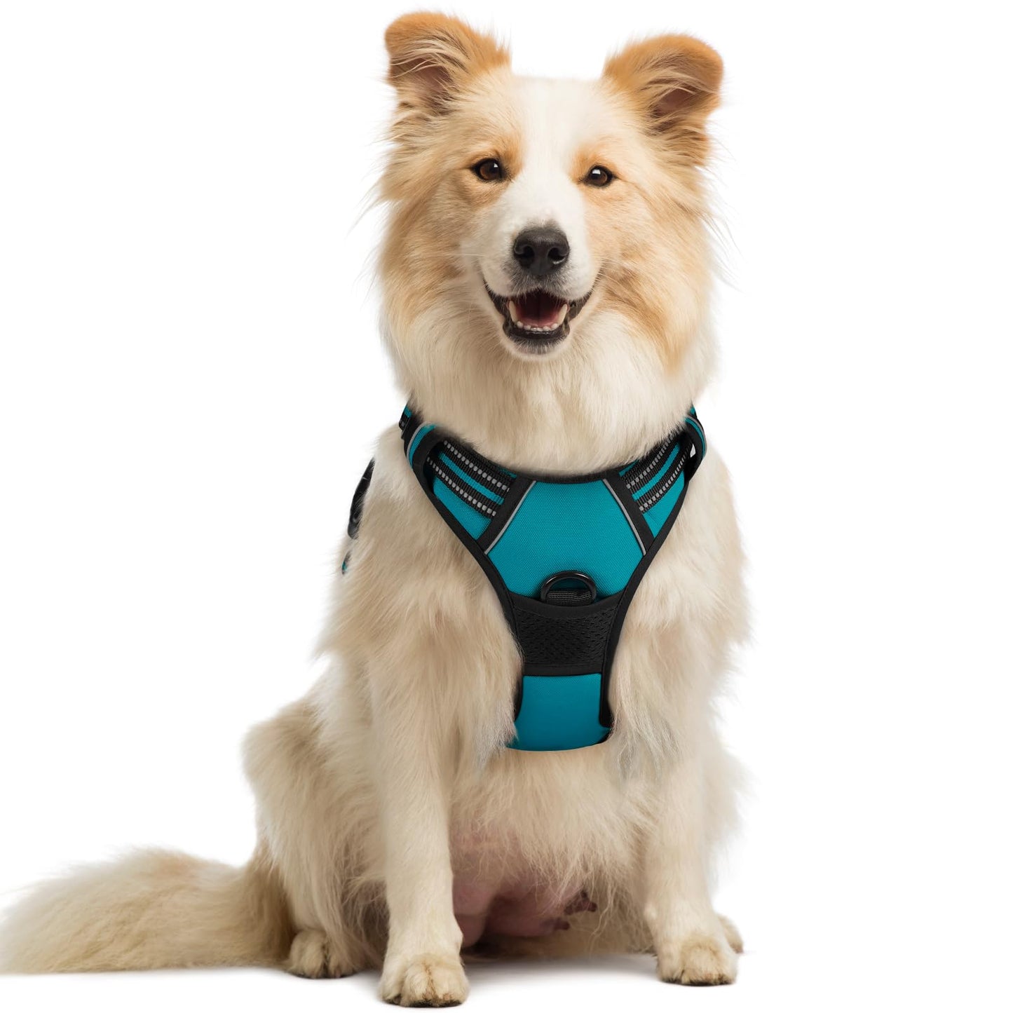 rabbitgoo Dog Harness, No-Pull Pet Harness with 2 Leash Clips, Adjustable Soft Padded Vest, Reflective No-Choke Pet Oxford Vest with Easy Control Handle for Large Dogs, Purple, L