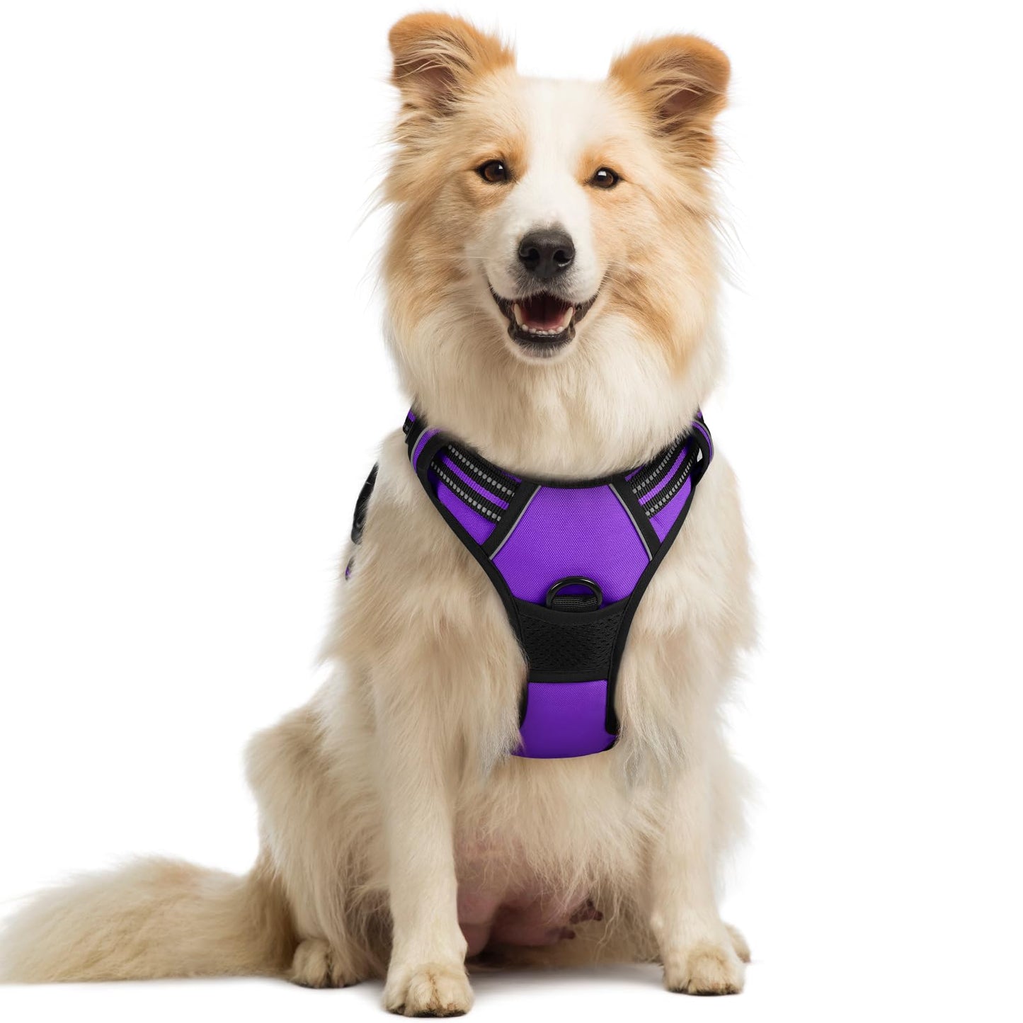 rabbitgoo Dog Harness, No-Pull Pet Harness with 2 Leash Clips, Adjustable Soft Padded Vest, Reflective No-Choke Pet Oxford Vest with Easy Control Handle for Large Dogs, Purple, L