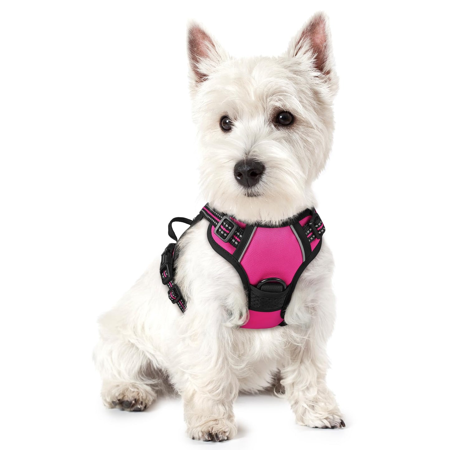 rabbitgoo Dog Harness, No-Pull Pet Harness with 2 Leash Clips, Adjustable Soft Padded Vest, Reflective No-Choke Pet Oxford Vest with Easy Control Handle for Large Dogs, Purple, L