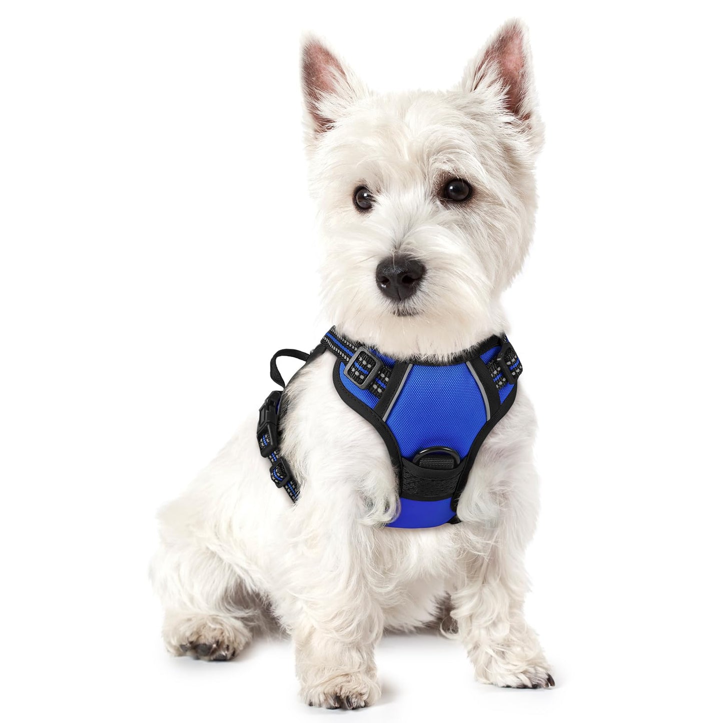 rabbitgoo Dog Harness, No-Pull Pet Harness with 2 Leash Clips, Adjustable Soft Padded Vest, Reflective No-Choke Pet Oxford Vest with Easy Control Handle for Large Dogs, Purple, L