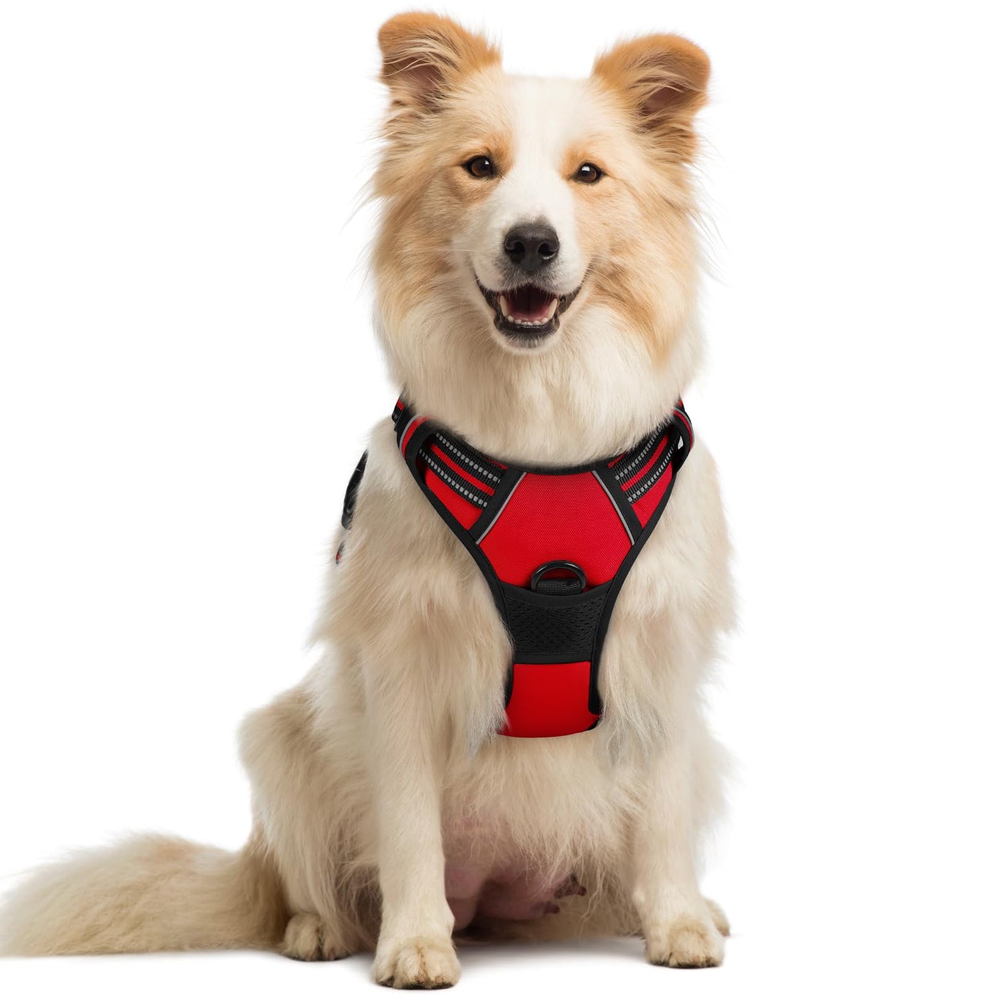 rabbitgoo Dog Harness, No-Pull Pet Harness with 2 Leash Clips, Adjustable Soft Padded Vest, Reflective No-Choke Pet Oxford Vest with Easy Control Handle for Large Dogs, Purple, L