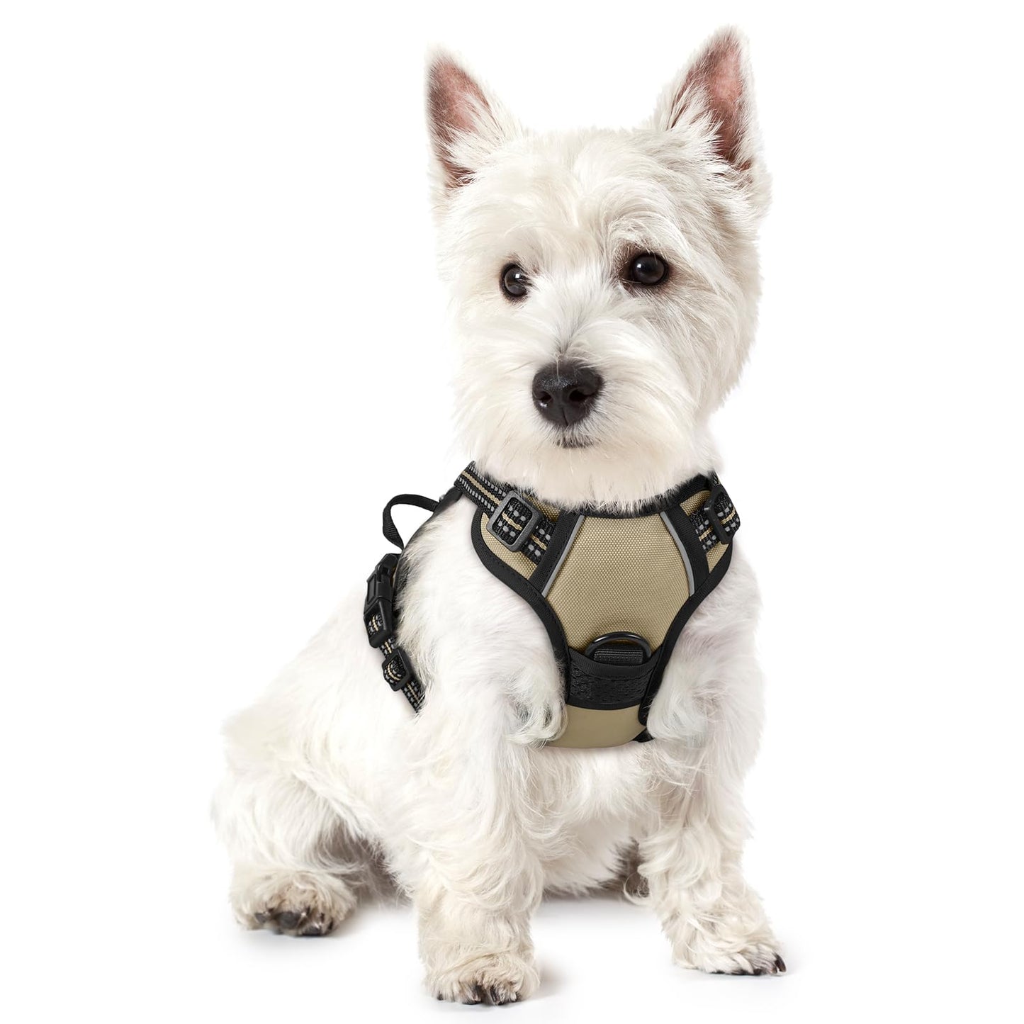 rabbitgoo Dog Harness, No-Pull Pet Harness with 2 Leash Clips, Adjustable Soft Padded Vest, Reflective No-Choke Pet Oxford Vest with Easy Control Handle for Large Dogs, Purple, L