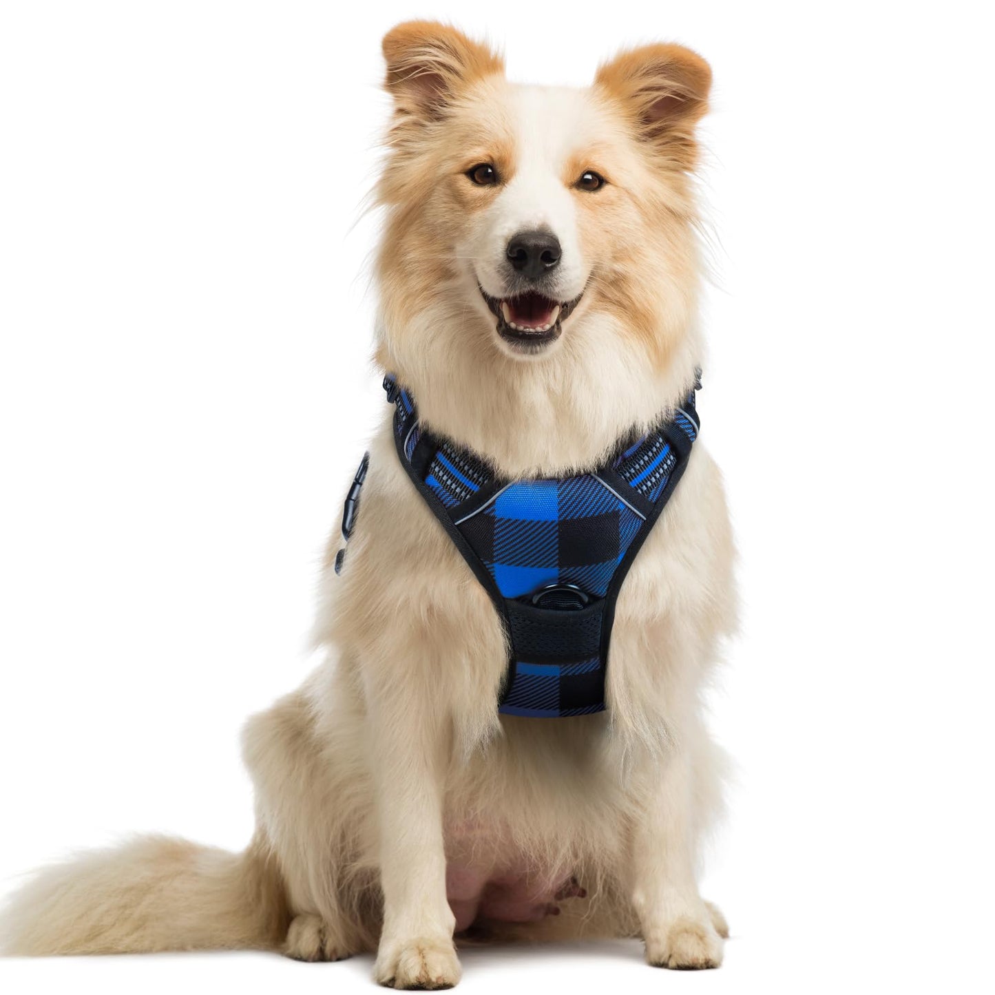 rabbitgoo Dog Harness, No-Pull Pet Harness with 2 Leash Clips, Adjustable Soft Padded Vest, Reflective No-Choke Pet Oxford Vest with Easy Control Handle for Large Dogs, Purple, L