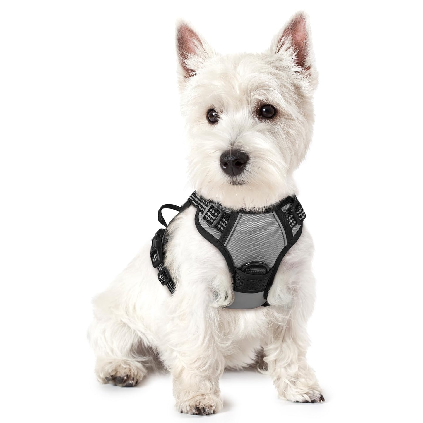 rabbitgoo Dog Harness, No-Pull Pet Harness with 2 Leash Clips, Adjustable Soft Padded Vest, Reflective No-Choke Pet Oxford Vest with Easy Control Handle for Large Dogs, Purple, L