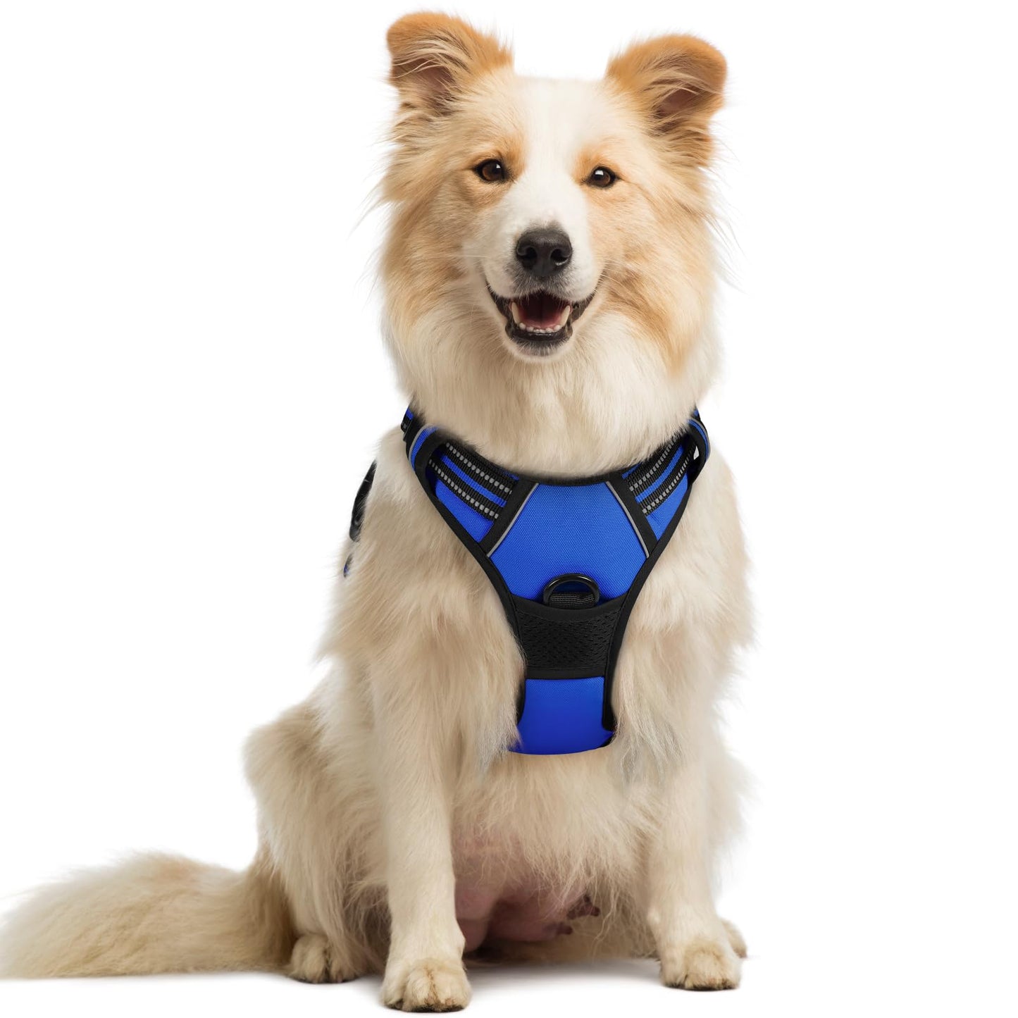 rabbitgoo Dog Harness, No-Pull Pet Harness with 2 Leash Clips, Adjustable Soft Padded Vest, Reflective No-Choke Pet Oxford Vest with Easy Control Handle for Large Dogs, Purple, L