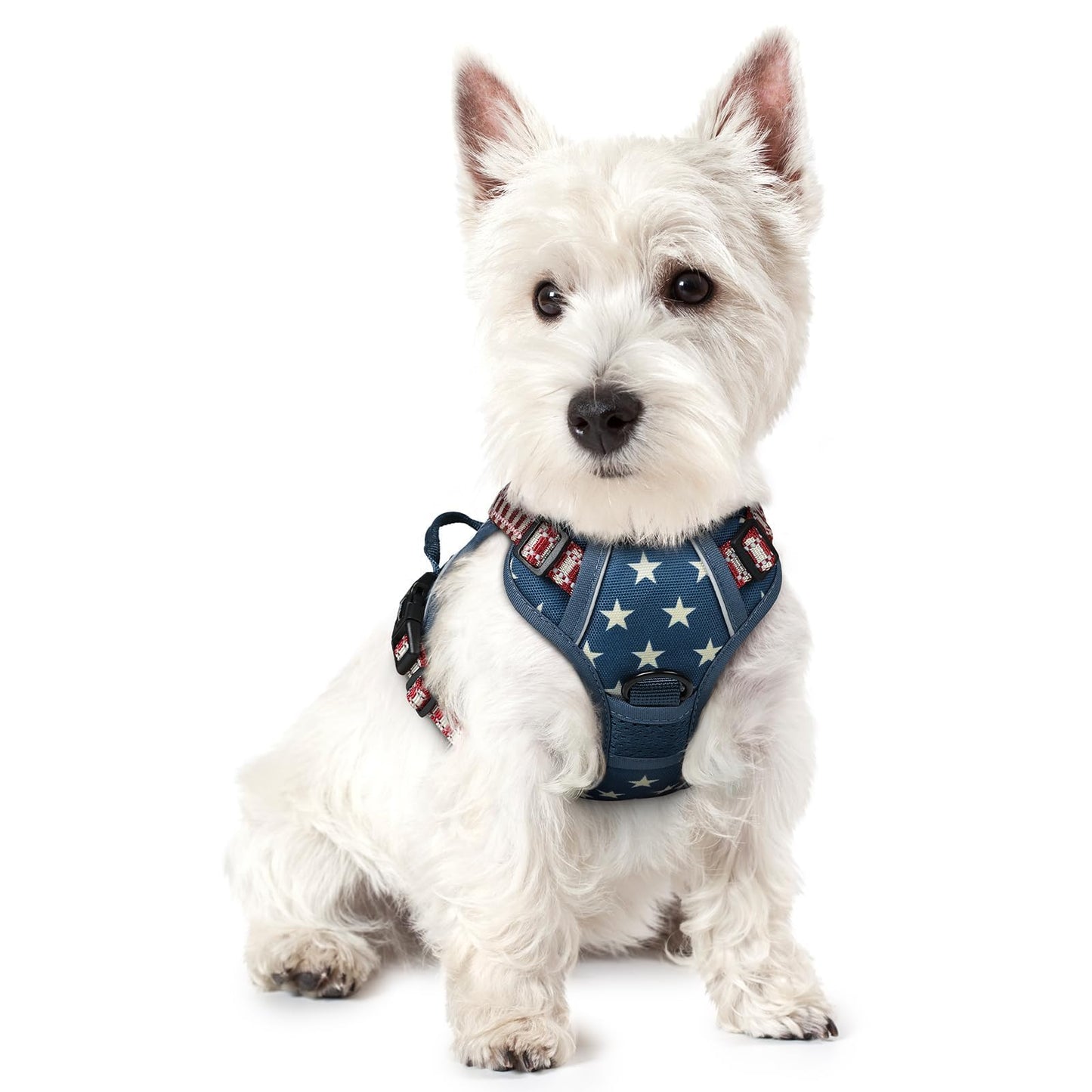 rabbitgoo Dog Harness, No-Pull Pet Harness with 2 Leash Clips, Adjustable Soft Padded Vest, Reflective No-Choke Pet Oxford Vest with Easy Control Handle for Large Dogs, Purple, L
