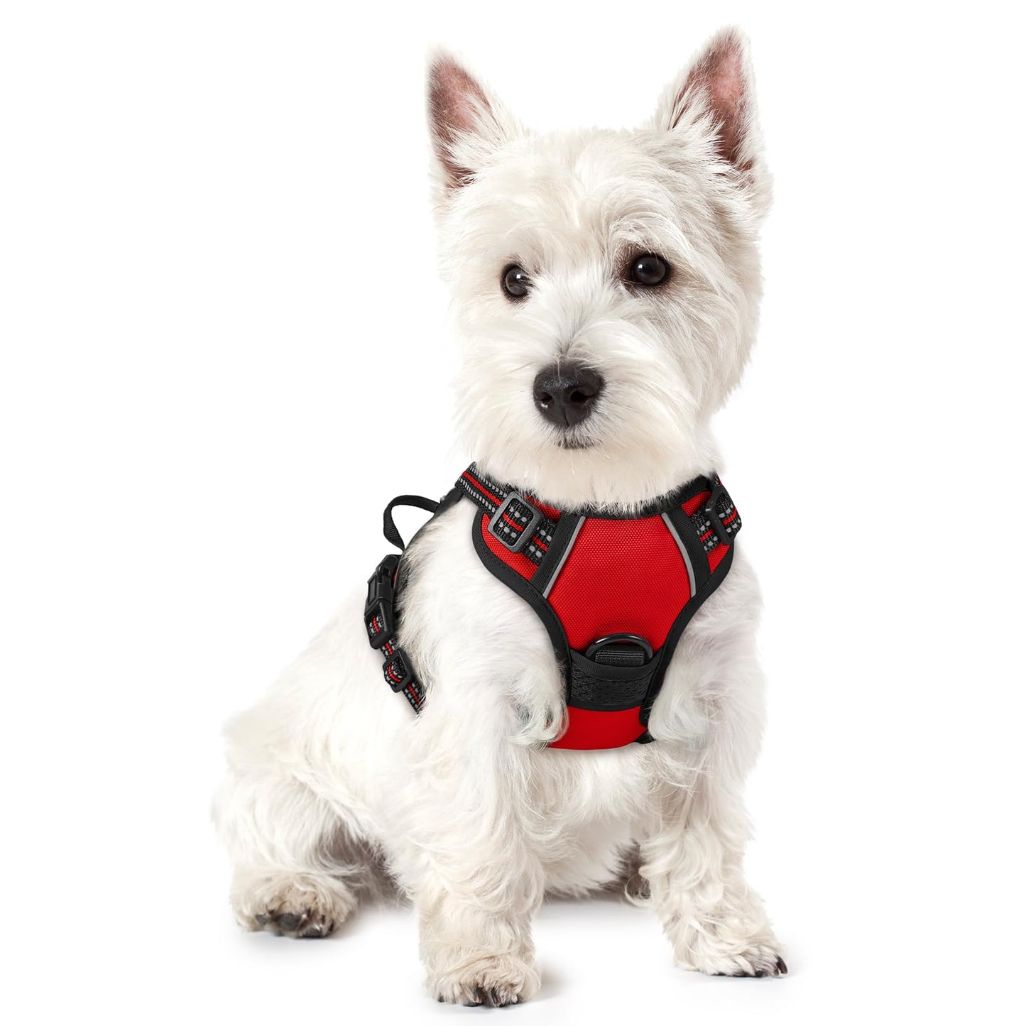 rabbitgoo Dog Harness, No-Pull Pet Harness with 2 Leash Clips, Adjustable Soft Padded Vest, Reflective No-Choke Pet Oxford Vest with Easy Control Handle for Large Dogs, Purple, L