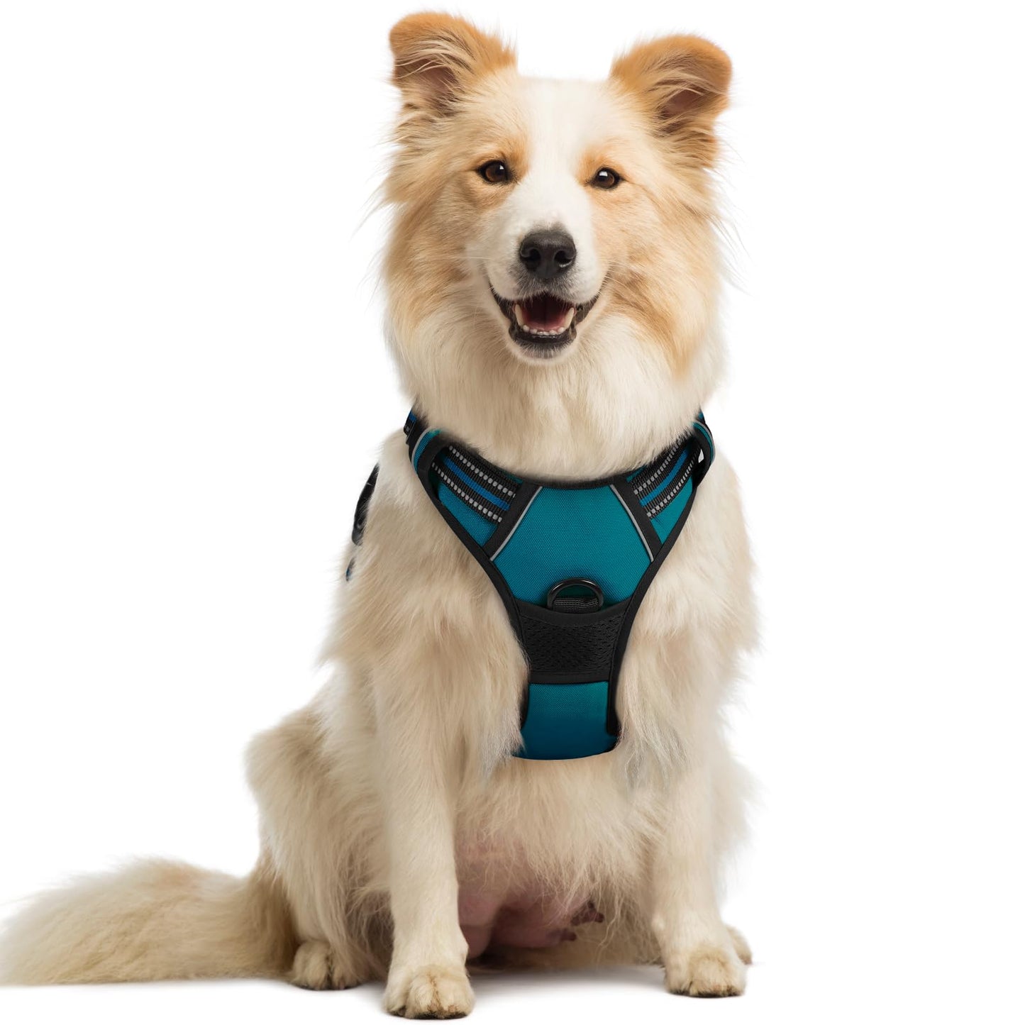 rabbitgoo Dog Harness, No-Pull Pet Harness with 2 Leash Clips, Adjustable Soft Padded Vest, Reflective No-Choke Pet Oxford Vest with Easy Control Handle for Large Dogs, Purple, L