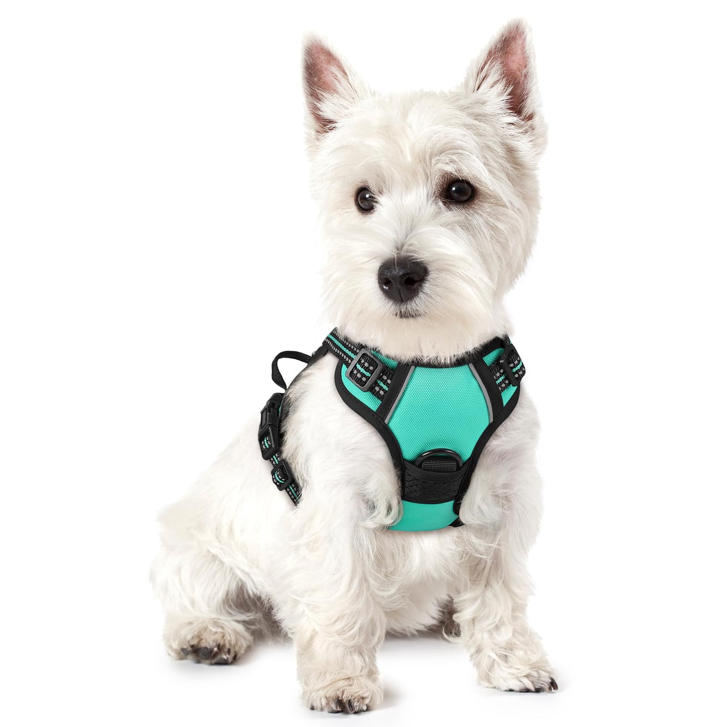 rabbitgoo Dog Harness, No-Pull Pet Harness with 2 Leash Clips, Adjustable Soft Padded Vest, Reflective No-Choke Pet Oxford Vest with Easy Control Handle for Large Dogs, Purple, L