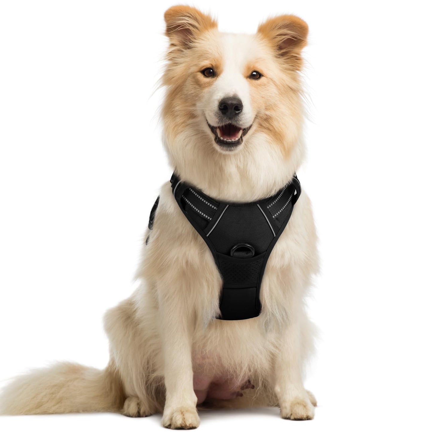 rabbitgoo Dog Harness, No-Pull Pet Harness with 2 Leash Clips, Adjustable Soft Padded Vest, Reflective No-Choke Pet Oxford Vest with Easy Control Handle for Large Dogs, Purple, L