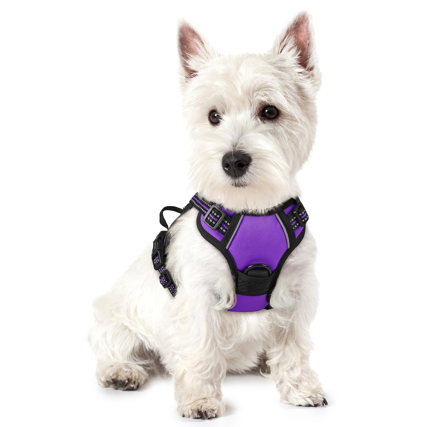 rabbitgoo Dog Harness, No-Pull Pet Harness with 2 Leash Clips, Adjustable Soft Padded Vest, Reflective No-Choke Pet Oxford Vest with Easy Control Handle for Large Dogs, Purple, L
