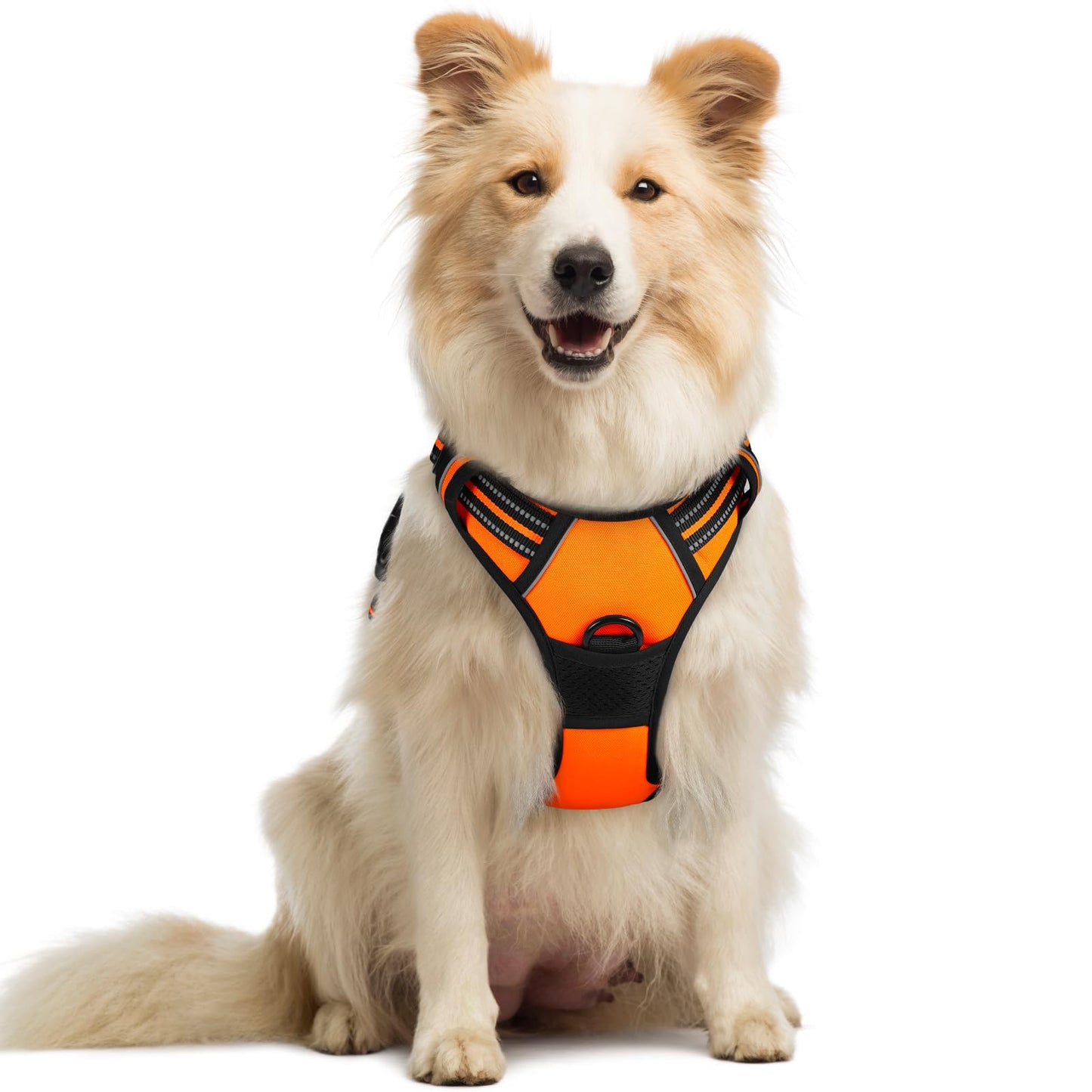 rabbitgoo Dog Harness, No-Pull Pet Harness with 2 Leash Clips, Adjustable Soft Padded Vest, Reflective No-Choke Pet Oxford Vest with Easy Control Handle for Large Dogs, Purple, L