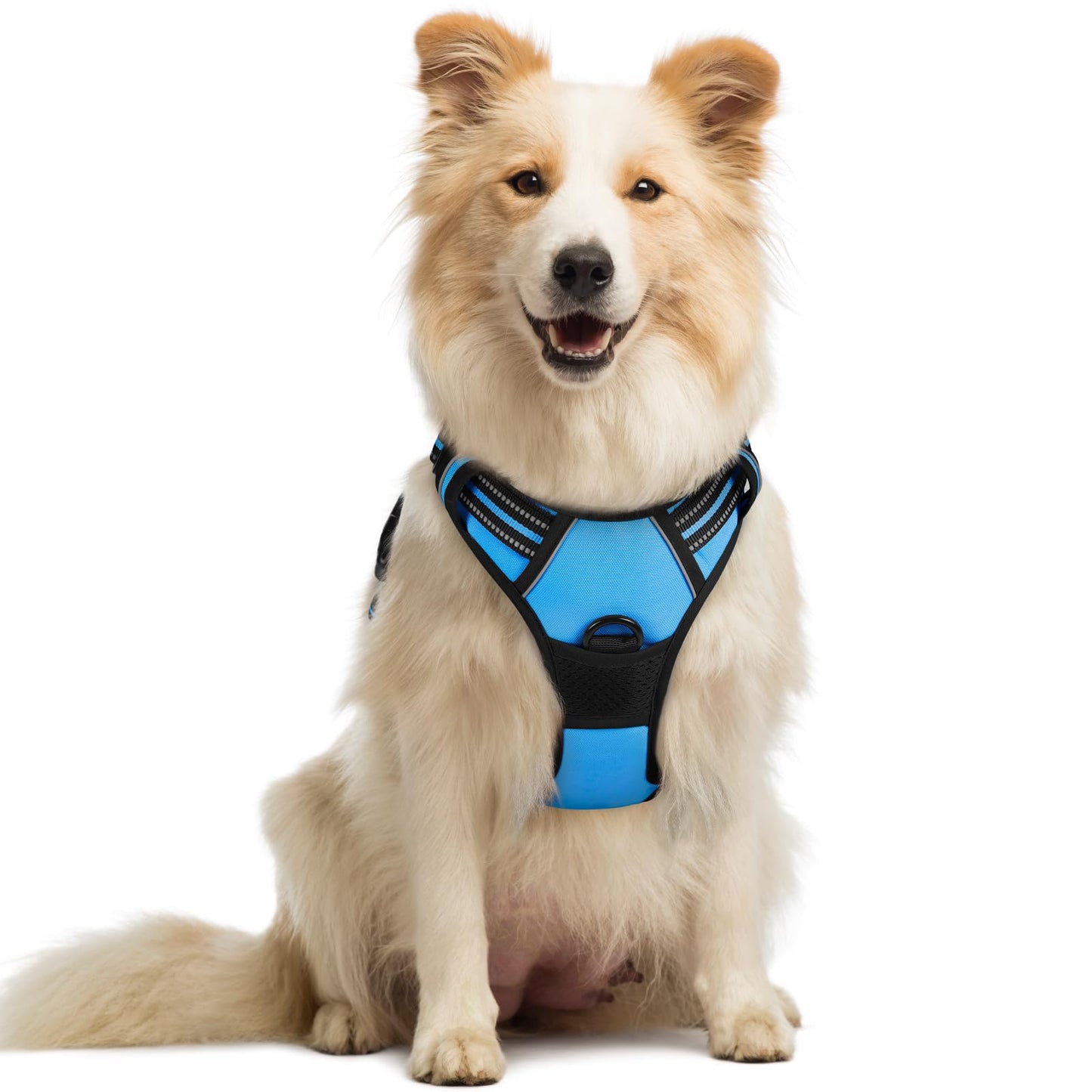 rabbitgoo Dog Harness, No-Pull Pet Harness with 2 Leash Clips, Adjustable Soft Padded Vest, Reflective No-Choke Pet Oxford Vest with Easy Control Handle for Large Dogs, Purple, L