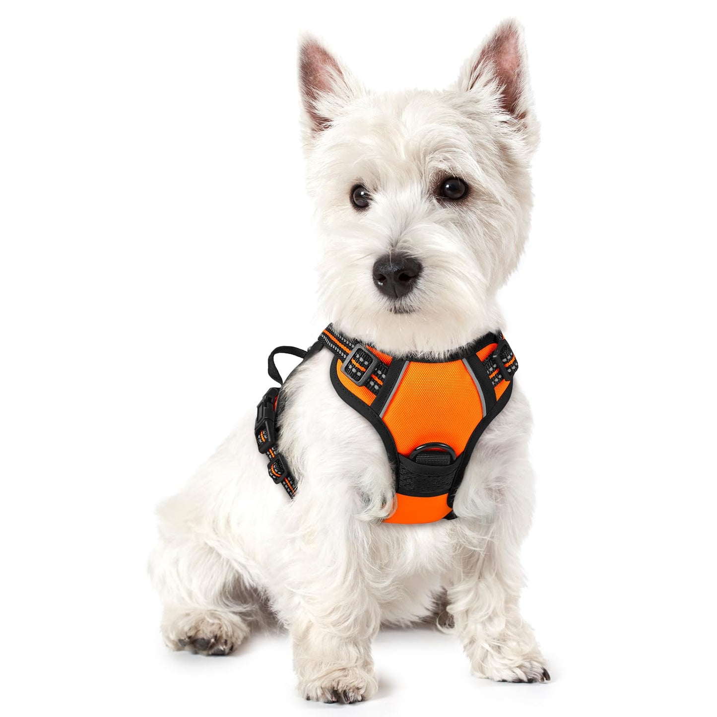 rabbitgoo Dog Harness, No-Pull Pet Harness with 2 Leash Clips, Adjustable Soft Padded Vest, Reflective No-Choke Pet Oxford Vest with Easy Control Handle for Large Dogs, Purple, L