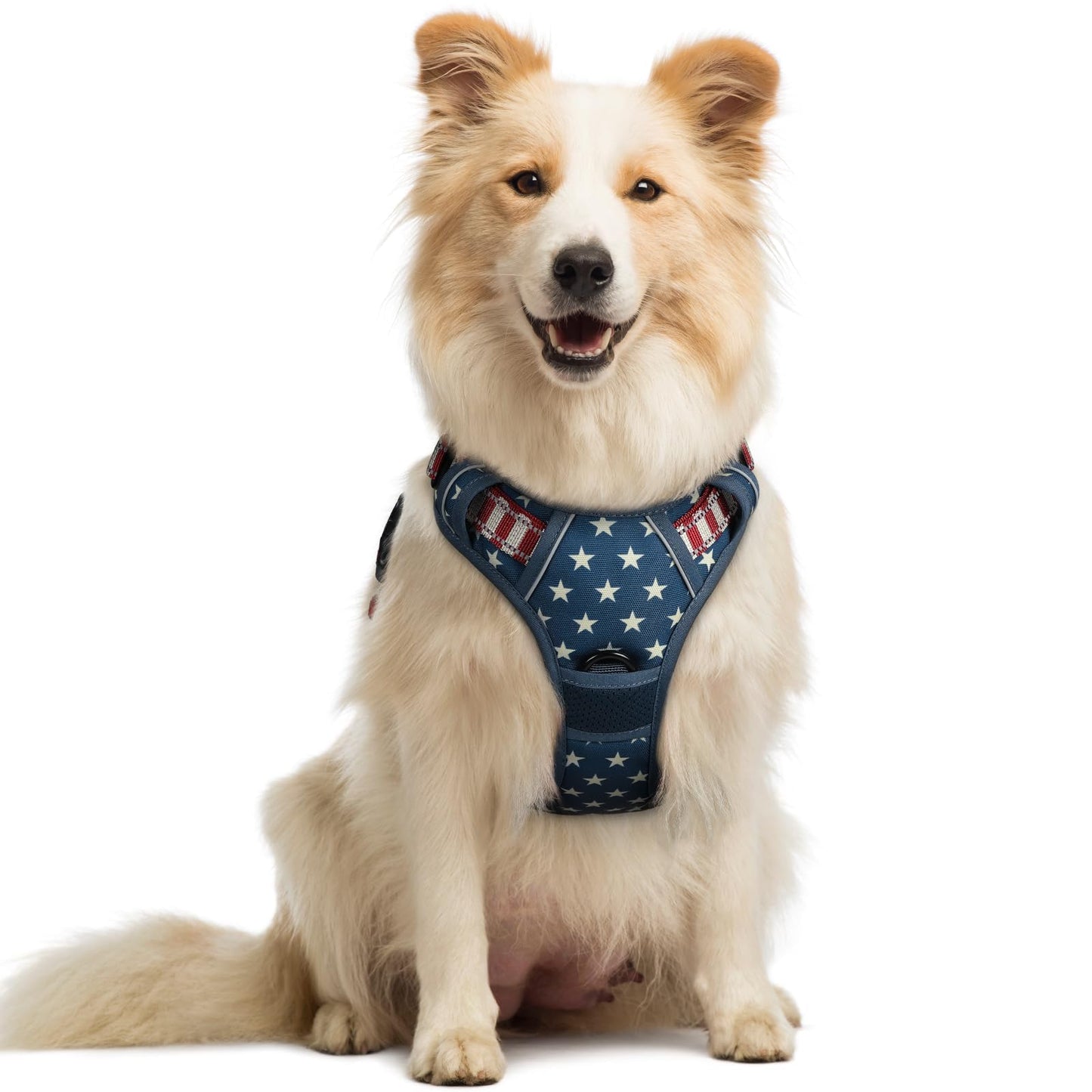rabbitgoo Dog Harness, No-Pull Pet Harness with 2 Leash Clips, Adjustable Soft Padded Vest, Reflective No-Choke Pet Oxford Vest with Easy Control Handle for Large Dogs, Purple, L