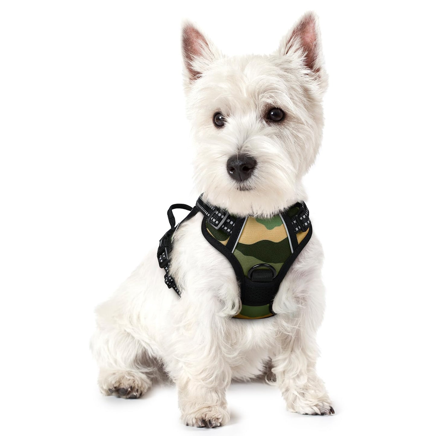 rabbitgoo Dog Harness, No-Pull Pet Harness with 2 Leash Clips, Adjustable Soft Padded Vest, Reflective No-Choke Pet Oxford Vest with Easy Control Handle for Large Dogs, Purple, L