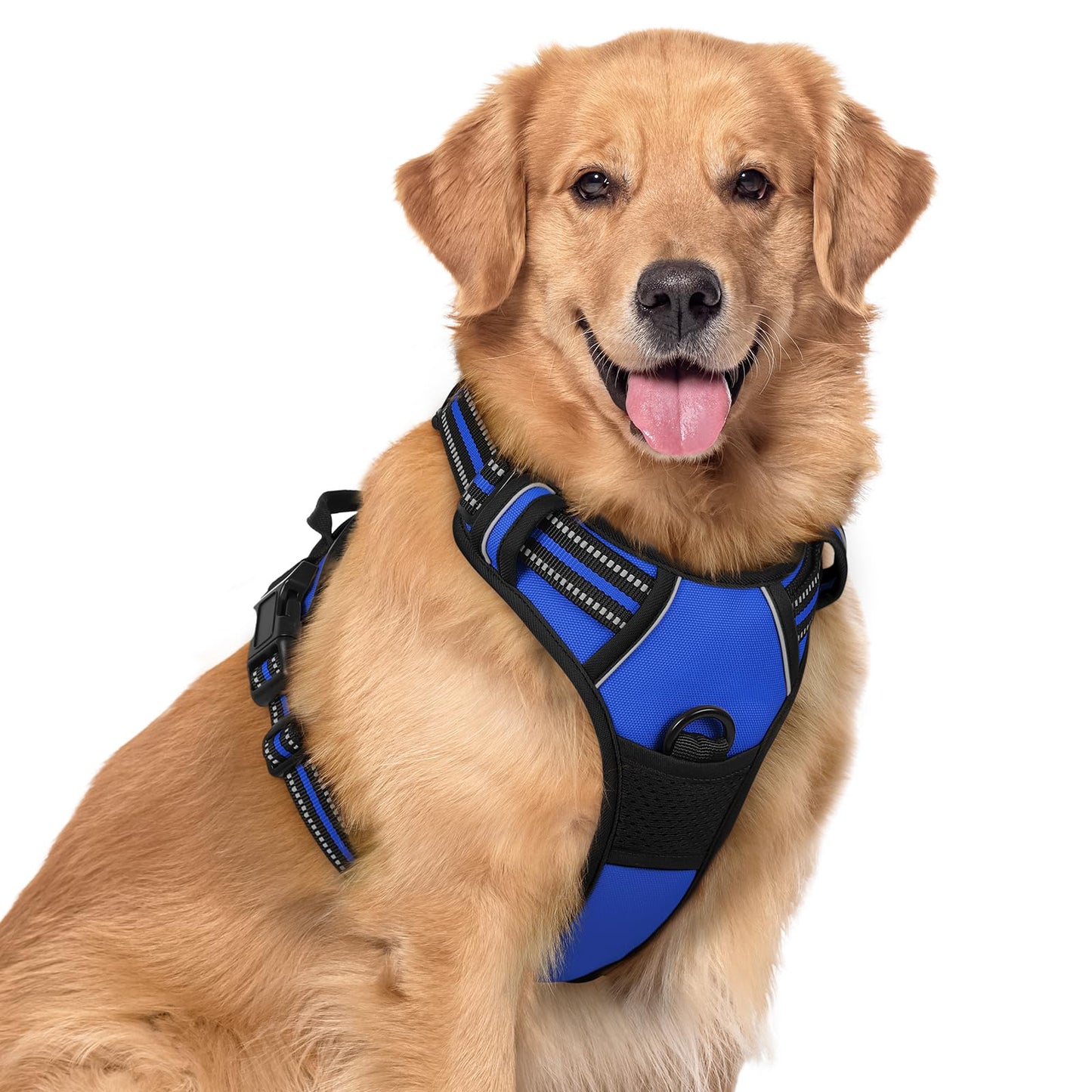 rabbitgoo Dog Harness, No-Pull Pet Harness with 2 Leash Clips, Adjustable Soft Padded Vest, Reflective No-Choke Pet Oxford Vest with Easy Control Handle for Large Dogs, Purple, L