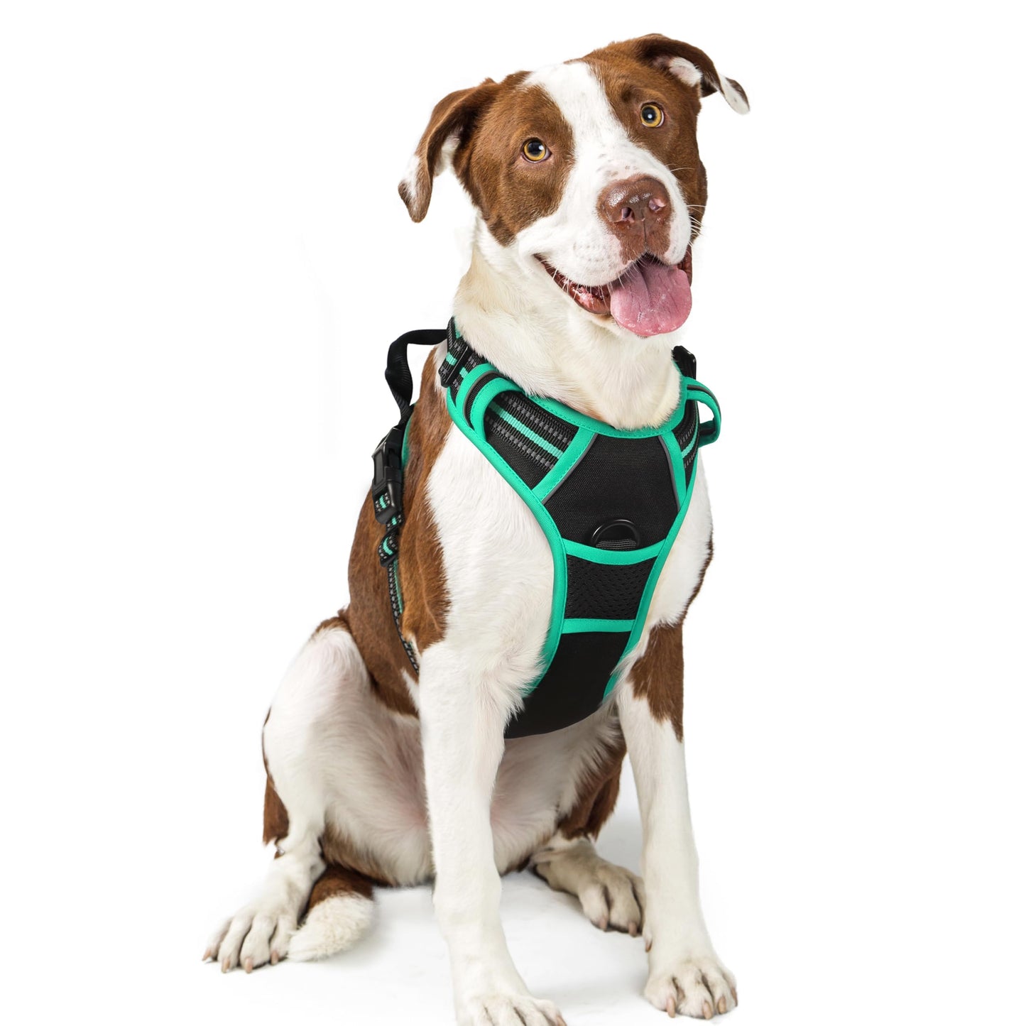 rabbitgoo Dog Harness, No-Pull Pet Harness with 2 Leash Clips, Adjustable Soft Padded Vest, Reflective No-Choke Pet Oxford Vest with Easy Control Handle for Large Dogs, Purple, L