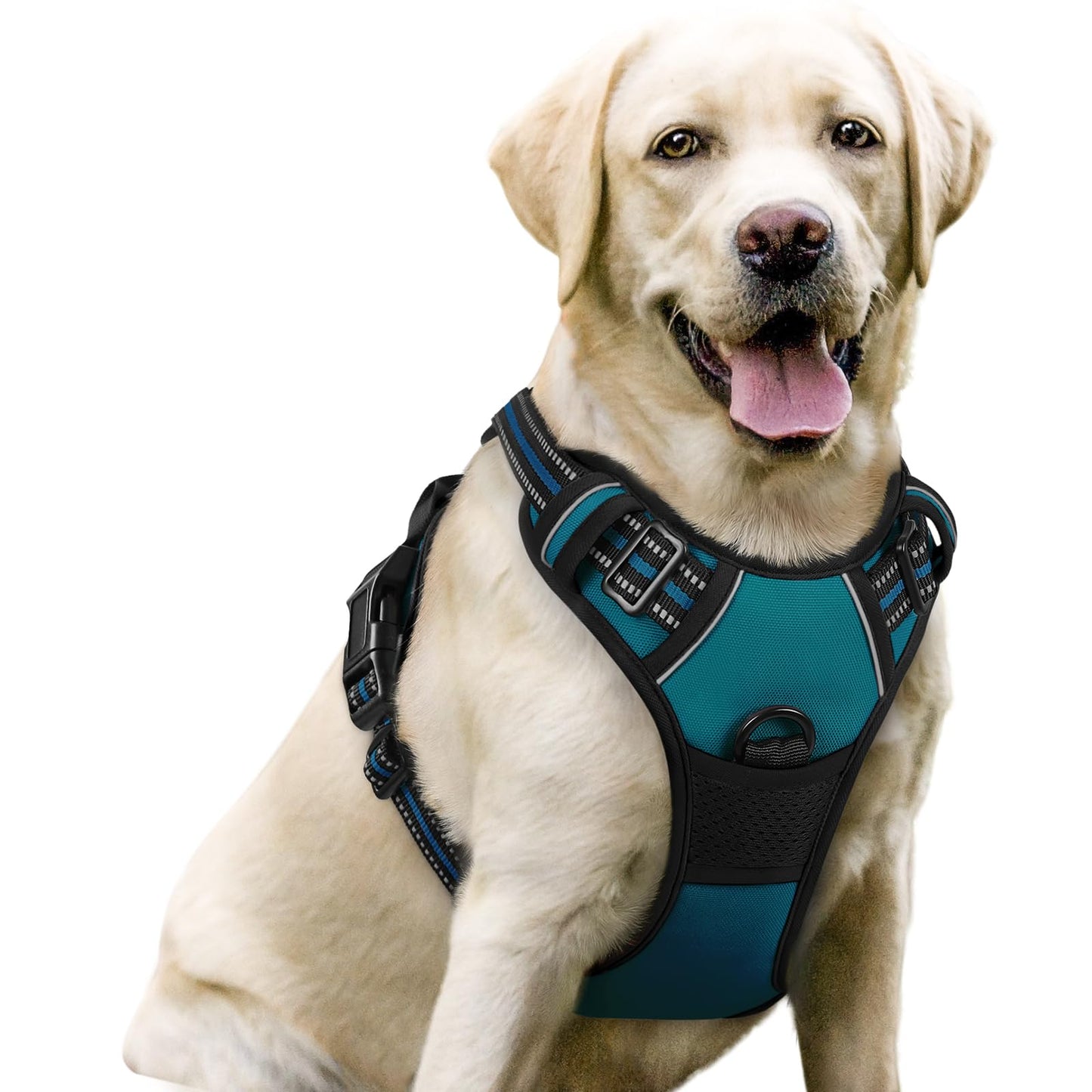 rabbitgoo Dog Harness, No-Pull Pet Harness with 2 Leash Clips, Adjustable Soft Padded Vest, Reflective No-Choke Pet Oxford Vest with Easy Control Handle for Large Dogs, Purple, L