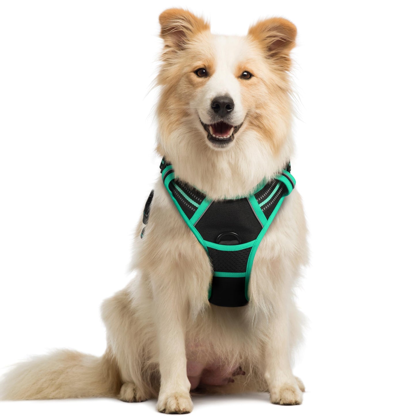rabbitgoo Dog Harness, No-Pull Pet Harness with 2 Leash Clips, Adjustable Soft Padded Vest, Reflective No-Choke Pet Oxford Vest with Easy Control Handle for Large Dogs, Purple, L