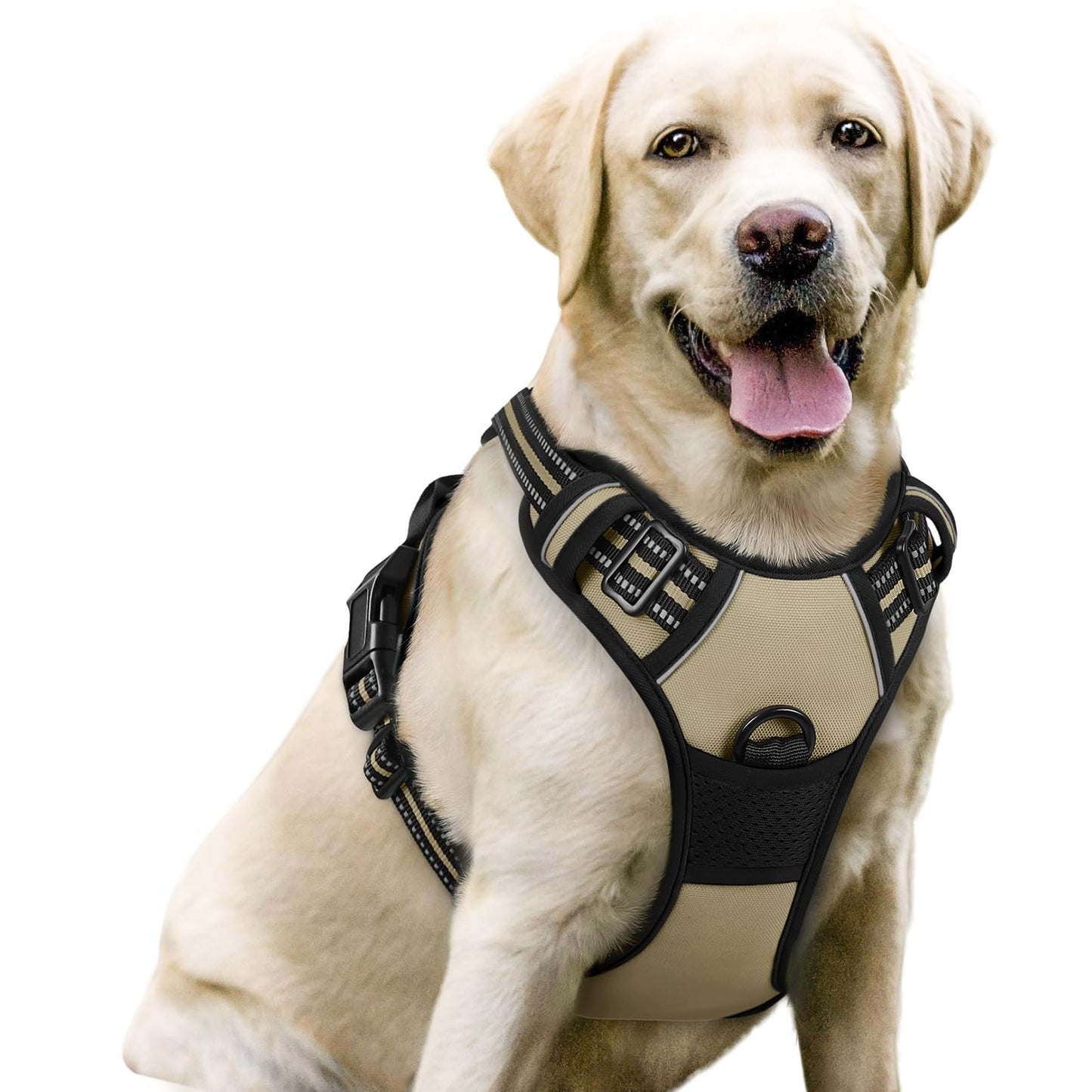rabbitgoo Dog Harness, No-Pull Pet Harness with 2 Leash Clips, Adjustable Soft Padded Vest, Reflective No-Choke Pet Oxford Vest with Easy Control Handle for Large Dogs, Purple, L