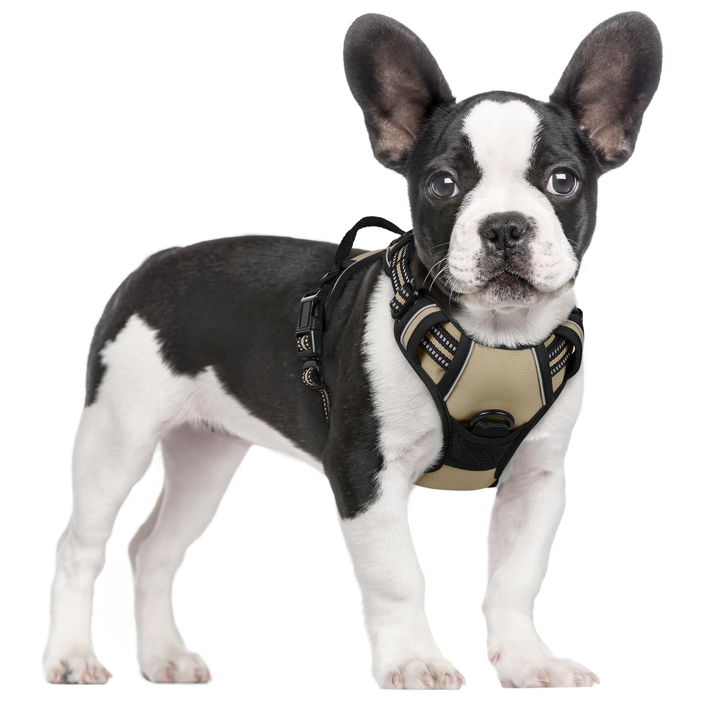 rabbitgoo Dog Harness, No-Pull Pet Harness with 2 Leash Clips, Adjustable Soft Padded Vest, Reflective No-Choke Pet Oxford Vest with Easy Control Handle for Large Dogs, Purple, L