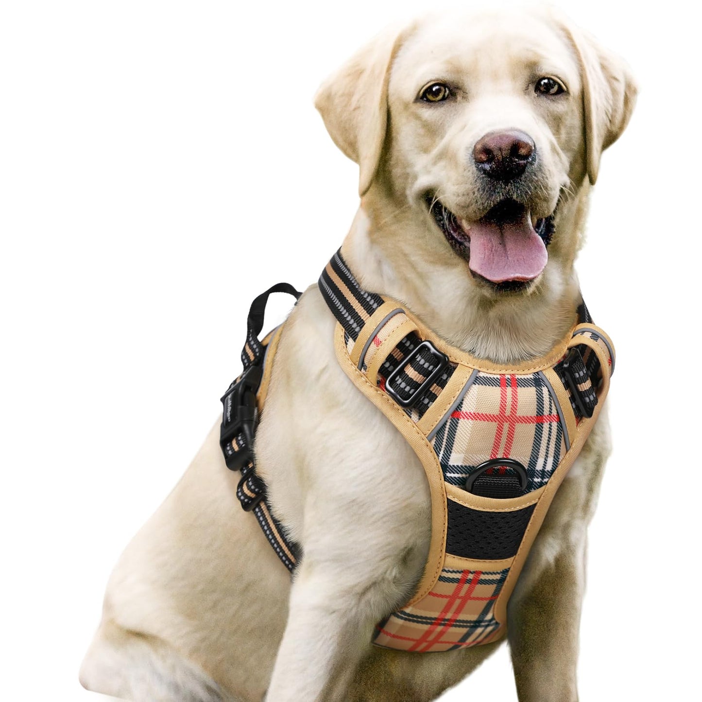rabbitgoo Dog Harness, No-Pull Pet Harness with 2 Leash Clips, Adjustable Soft Padded Vest, Reflective No-Choke Pet Oxford Vest with Easy Control Handle for Large Dogs, Purple, L