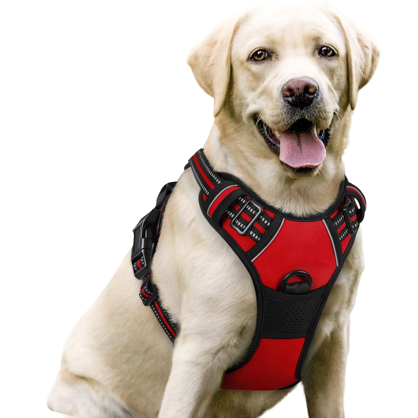 rabbitgoo Dog Harness, No-Pull Pet Harness with 2 Leash Clips, Adjustable Soft Padded Vest, Reflective No-Choke Pet Oxford Vest with Easy Control Handle for Large Dogs, Purple, L