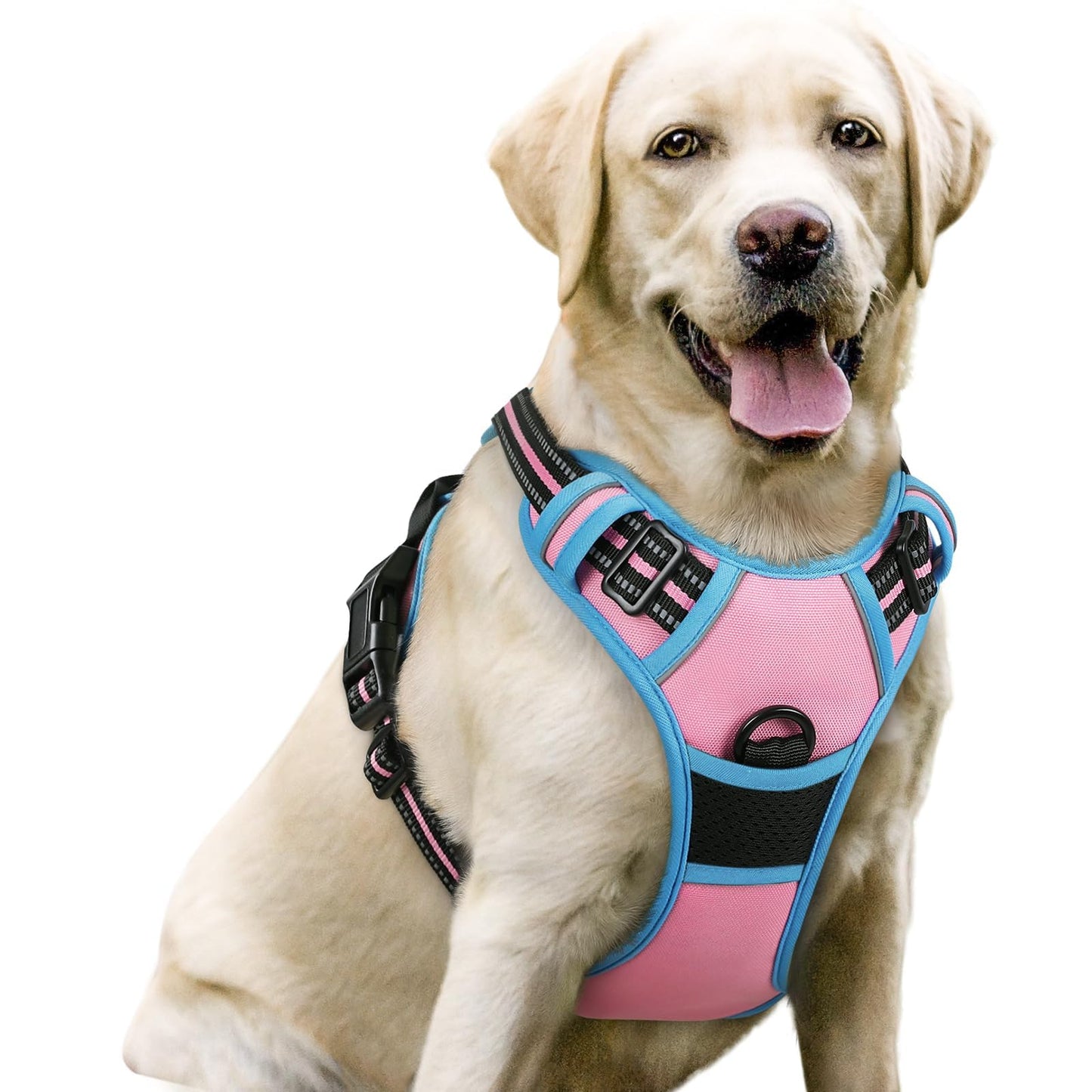 rabbitgoo Dog Harness, No-Pull Pet Harness with 2 Leash Clips, Adjustable Soft Padded Vest, Reflective No-Choke Pet Oxford Vest with Easy Control Handle for Large Dogs, Purple, L