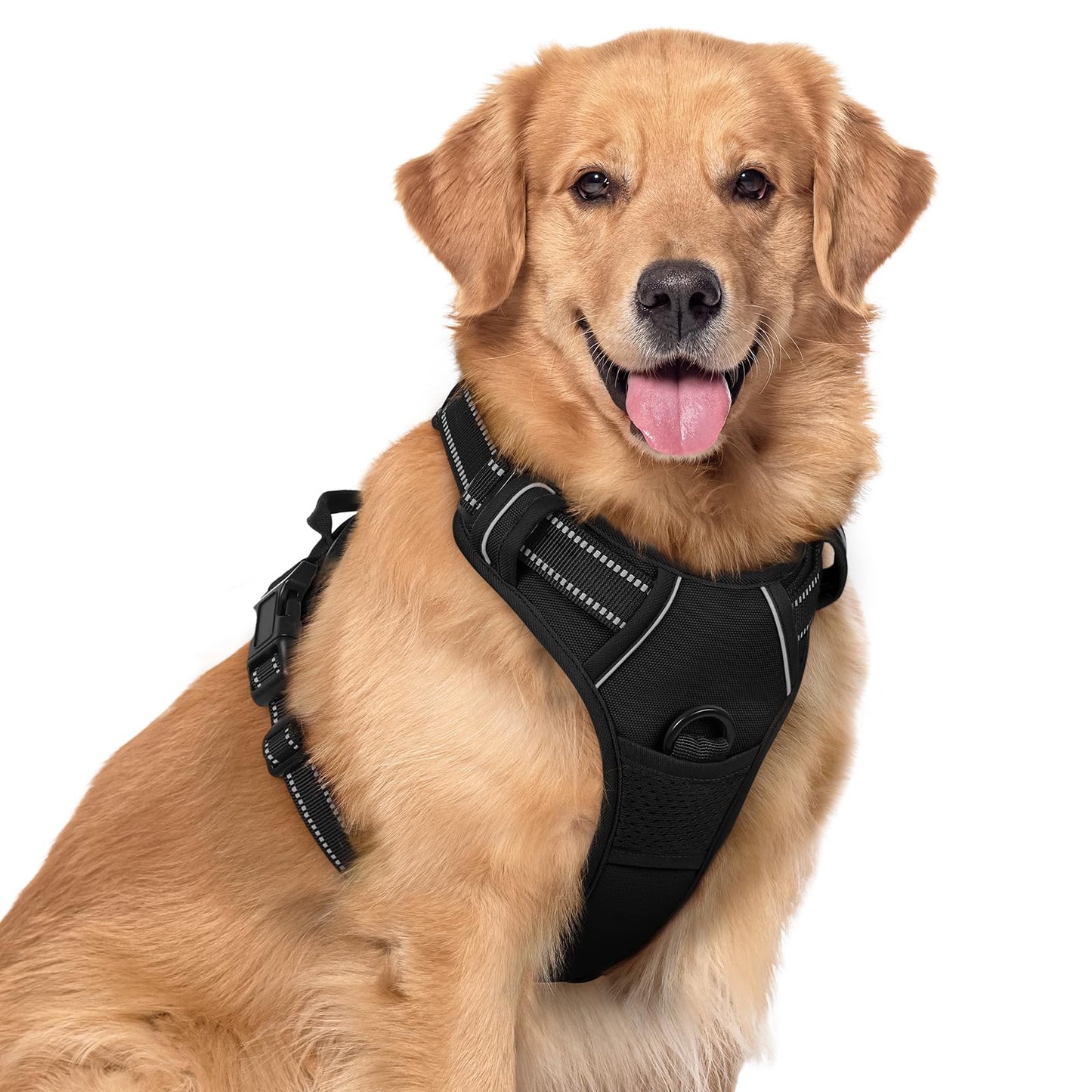 rabbitgoo Dog Harness, No-Pull Pet Harness with 2 Leash Clips, Adjustable Soft Padded Vest, Reflective No-Choke Pet Oxford Vest with Easy Control Handle for Large Dogs, Purple, L