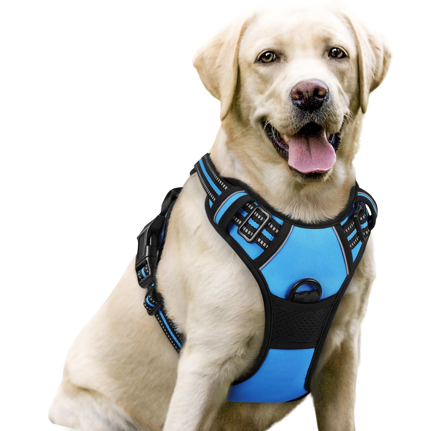 rabbitgoo Dog Harness, No-Pull Pet Harness with 2 Leash Clips, Adjustable Soft Padded Vest, Reflective No-Choke Pet Oxford Vest with Easy Control Handle for Large Dogs, Purple, L
