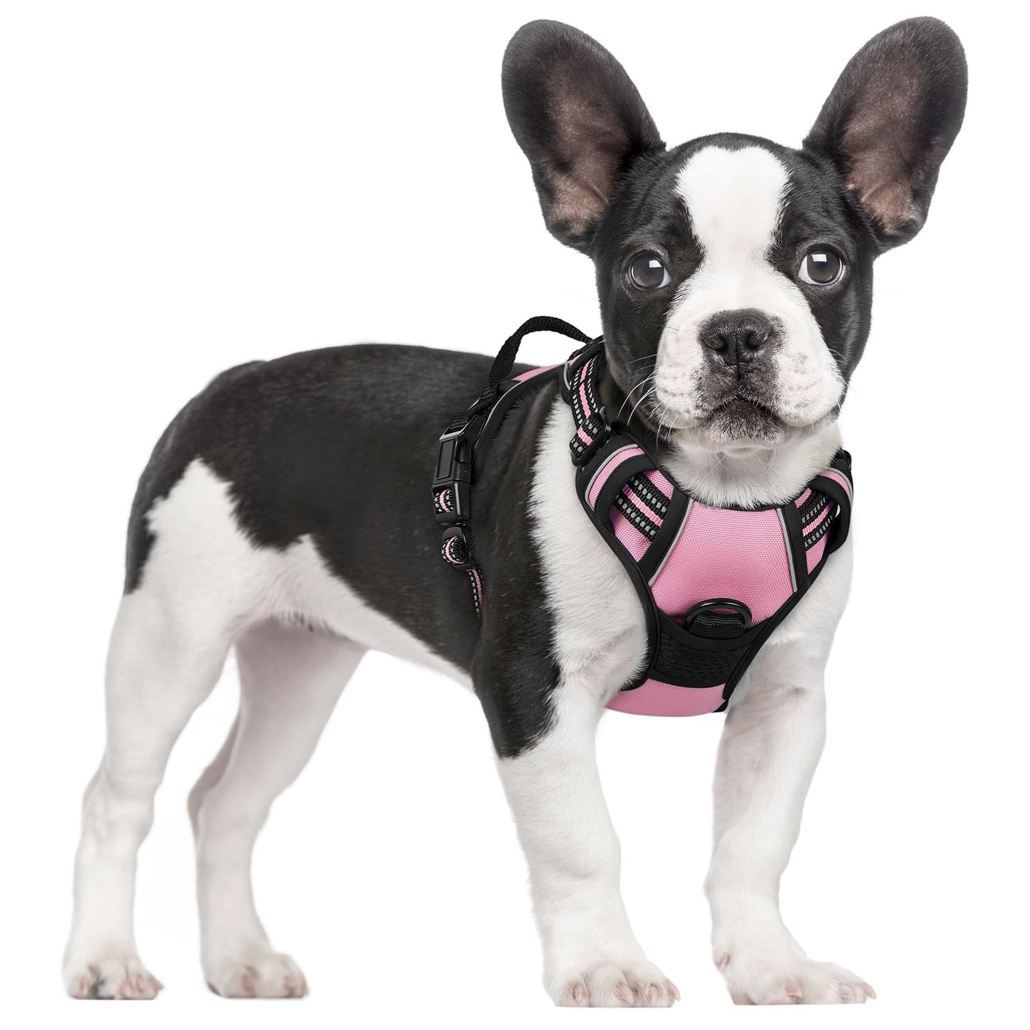 rabbitgoo Dog Harness, No-Pull Pet Harness with 2 Leash Clips, Adjustable Soft Padded Vest, Reflective No-Choke Pet Oxford Vest with Easy Control Handle for Large Dogs, Purple, L