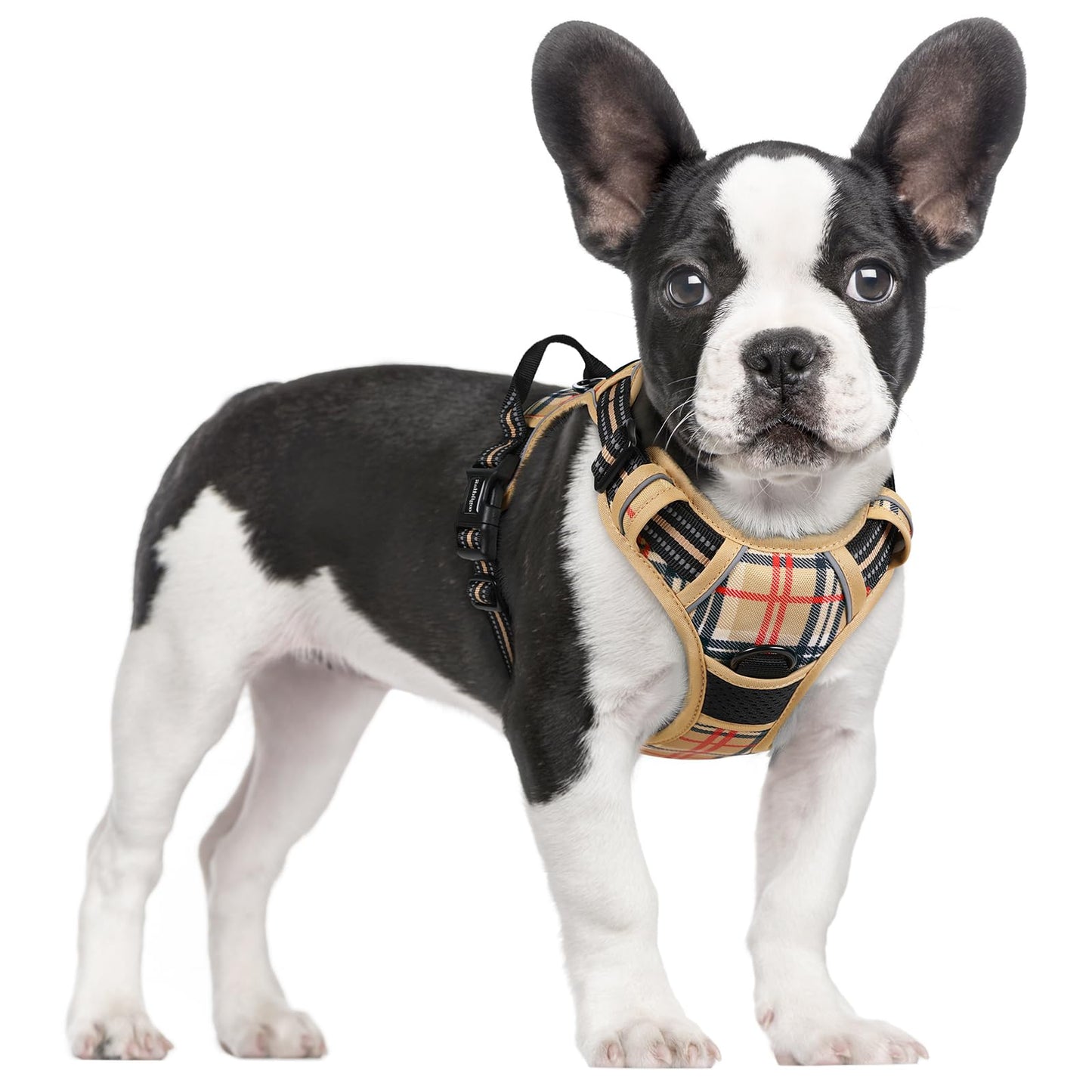 rabbitgoo Dog Harness, No-Pull Pet Harness with 2 Leash Clips, Adjustable Soft Padded Vest, Reflective No-Choke Pet Oxford Vest with Easy Control Handle for Large Dogs, Purple, L