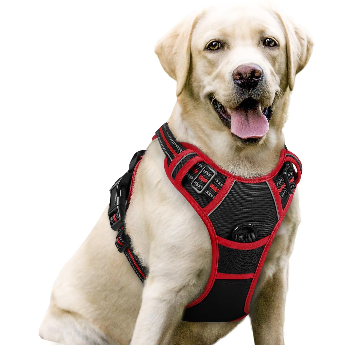rabbitgoo Dog Harness, No-Pull Pet Harness with 2 Leash Clips, Adjustable Soft Padded Vest, Reflective No-Choke Pet Oxford Vest with Easy Control Handle for Large Dogs, Purple, L