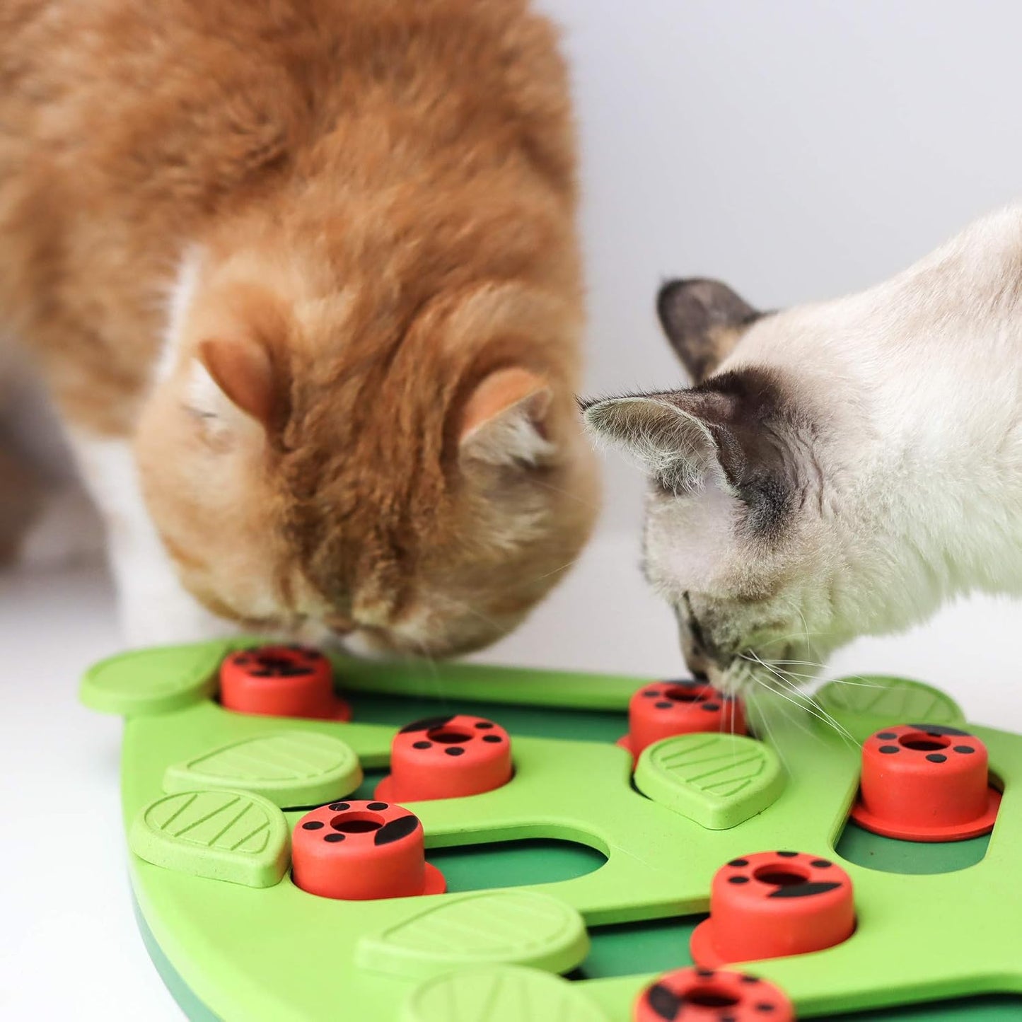 Catstages Rainy Day Interactive Cat Puzzle