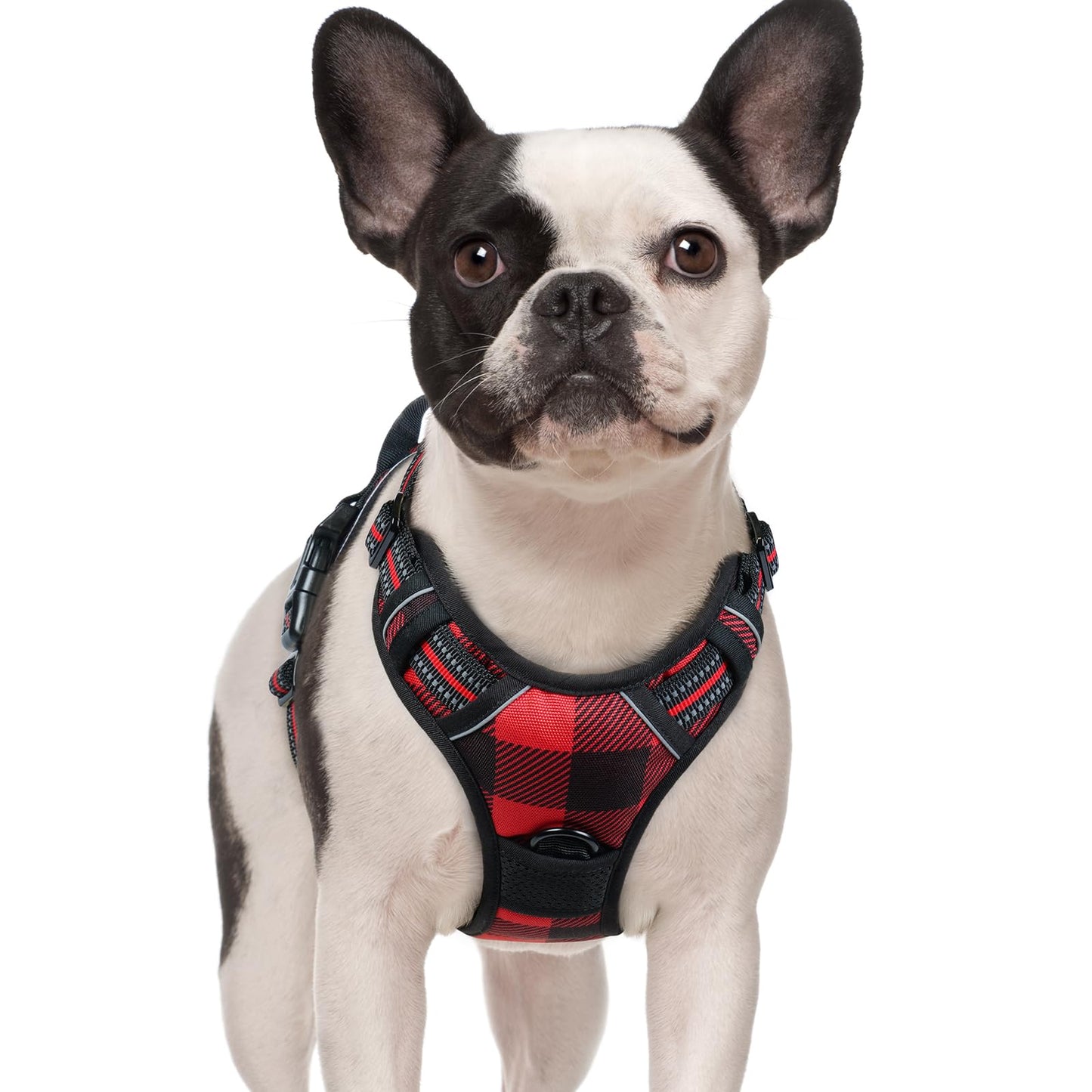 rabbitgoo Dog Harness, No-Pull Pet Harness with 2 Leash Clips, Adjustable Soft Padded Vest, Reflective No-Choke Pet Oxford Vest with Easy Control Handle for Large Dogs, Purple, L