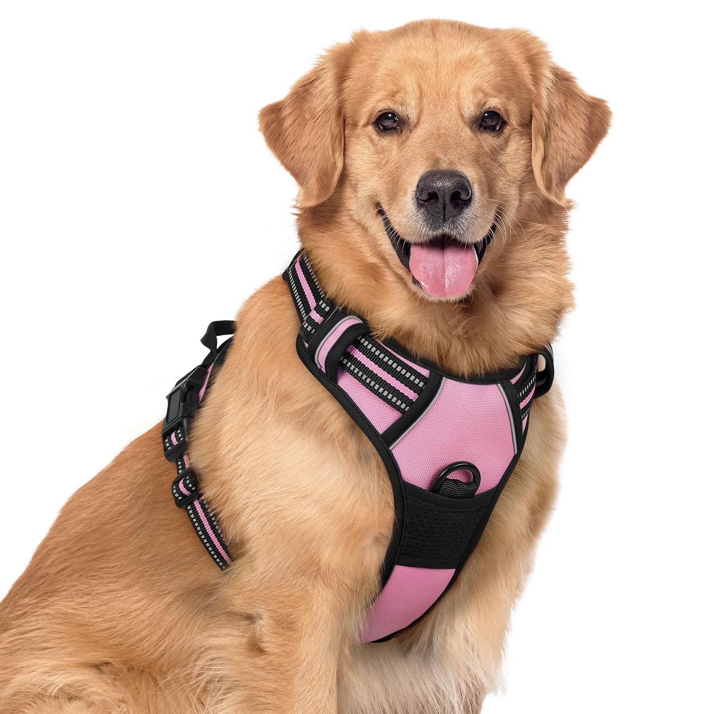 rabbitgoo Dog Harness, No-Pull Pet Harness with 2 Leash Clips, Adjustable Soft Padded Vest, Reflective No-Choke Pet Oxford Vest with Easy Control Handle for Large Dogs, Purple, L