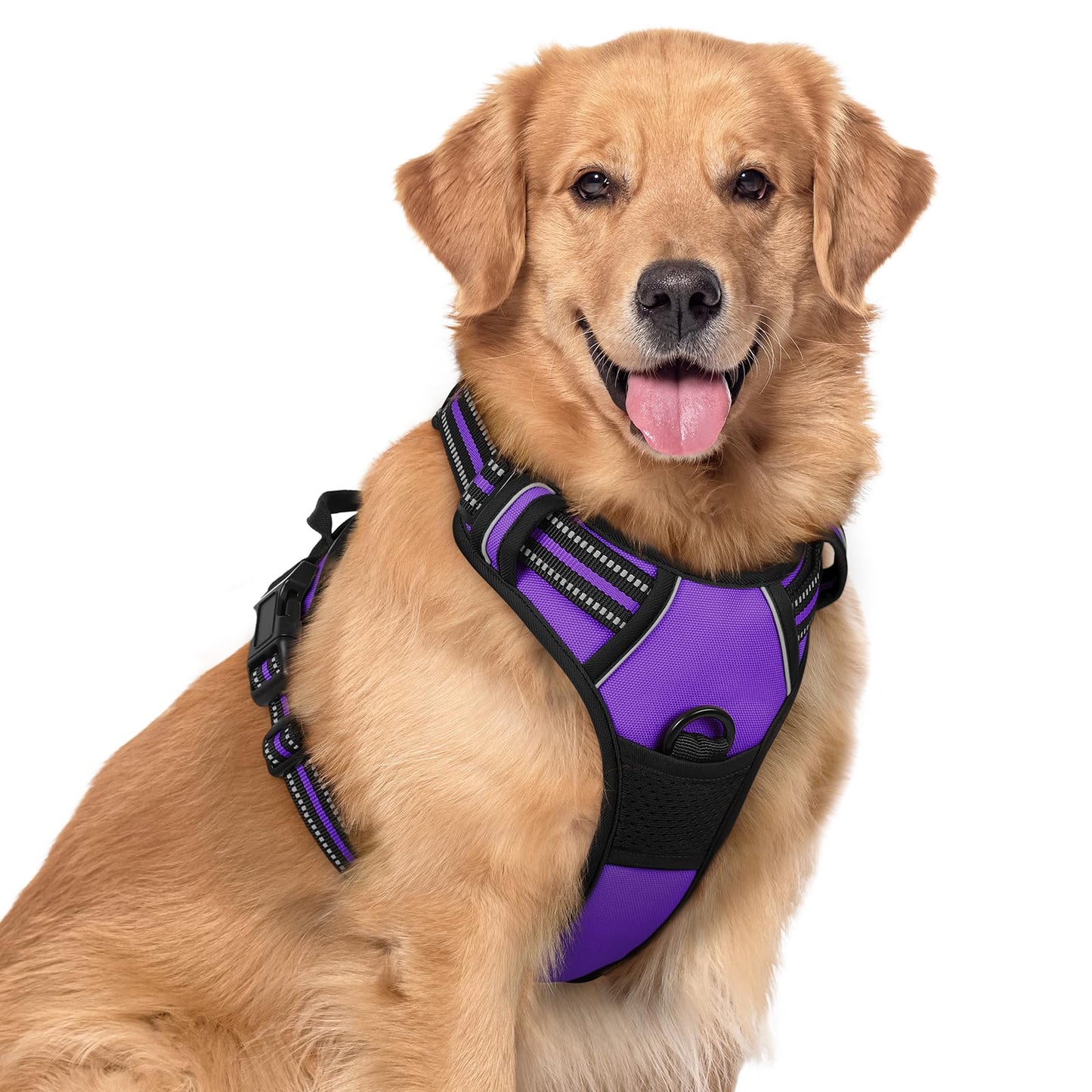 rabbitgoo Dog Harness, No-Pull Pet Harness with 2 Leash Clips, Adjustable Soft Padded Vest, Reflective No-Choke Pet Oxford Vest with Easy Control Handle for Large Dogs, Purple, L