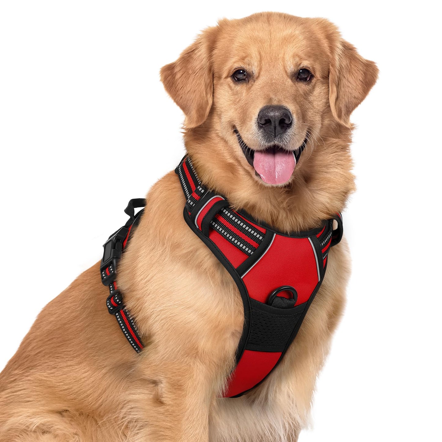 rabbitgoo Dog Harness, No-Pull Pet Harness with 2 Leash Clips, Adjustable Soft Padded Vest, Reflective No-Choke Pet Oxford Vest with Easy Control Handle for Large Dogs, Purple, L