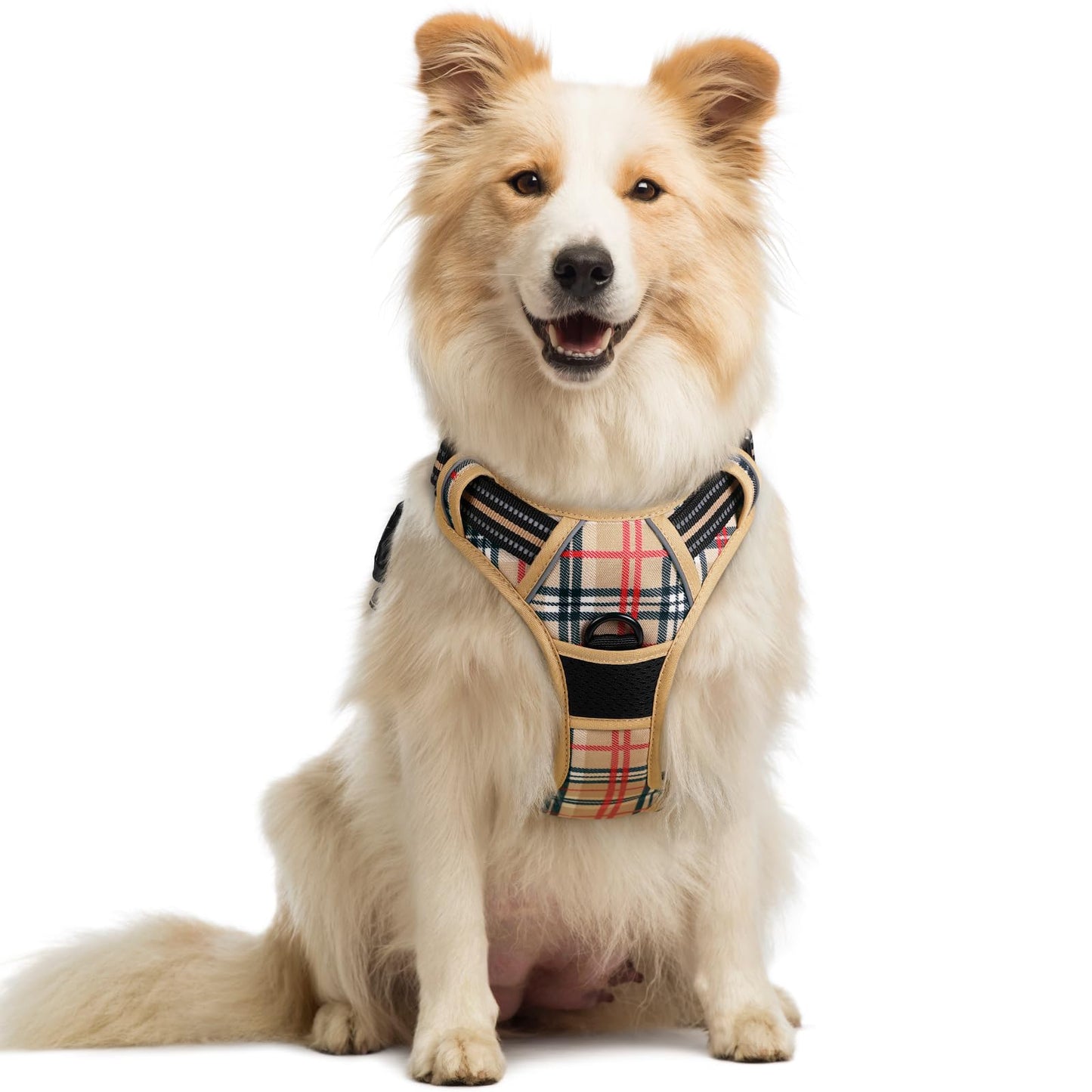 rabbitgoo Dog Harness, No-Pull Pet Harness with 2 Leash Clips, Adjustable Soft Padded Vest, Reflective No-Choke Pet Oxford Vest with Easy Control Handle for Large Dogs, Purple, L