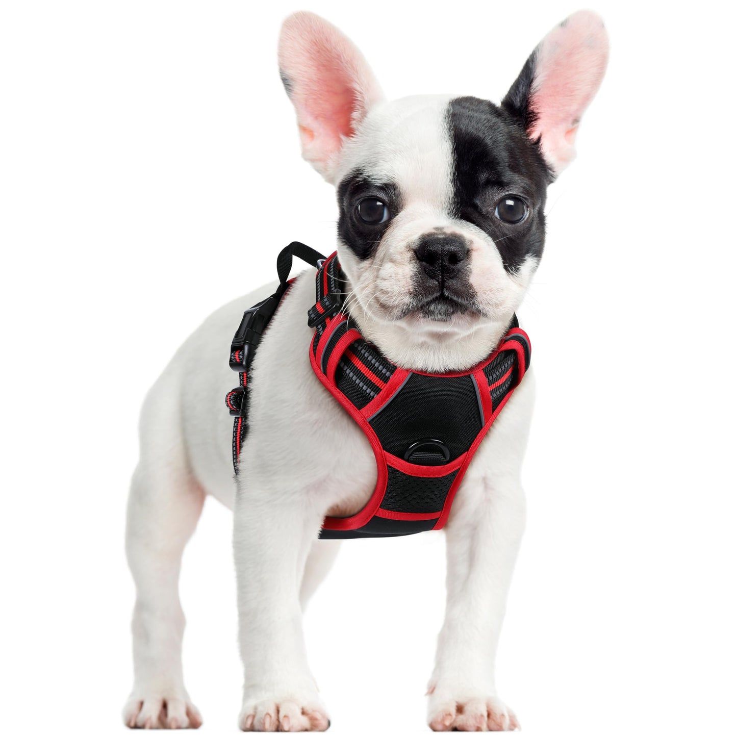 rabbitgoo Dog Harness, No-Pull Pet Harness with 2 Leash Clips, Adjustable Soft Padded Vest, Reflective No-Choke Pet Oxford Vest with Easy Control Handle for Large Dogs, Purple, L