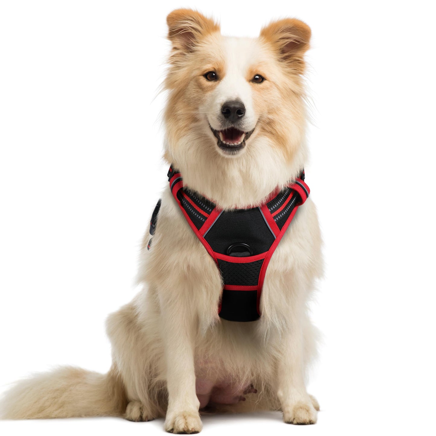 rabbitgoo Dog Harness, No-Pull Pet Harness with 2 Leash Clips, Adjustable Soft Padded Vest, Reflective No-Choke Pet Oxford Vest with Easy Control Handle for Large Dogs, Purple, L